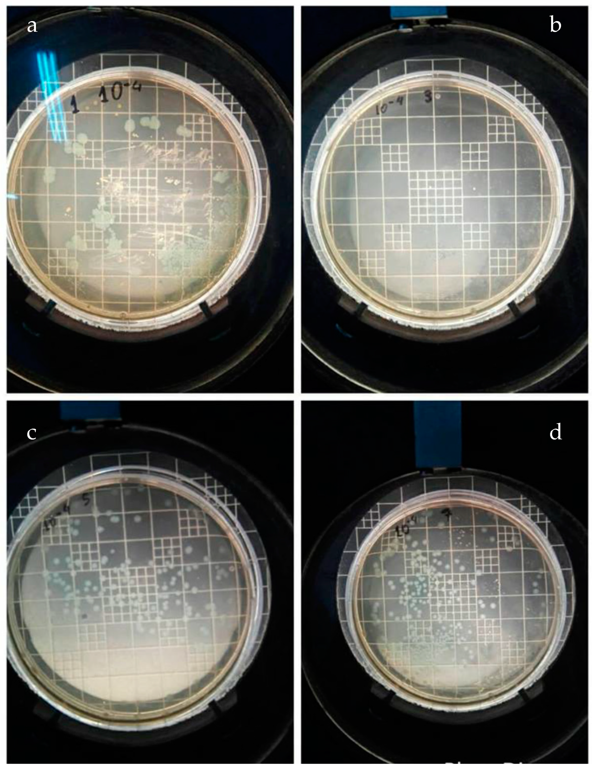 Nanomaterials 14 00291 g012