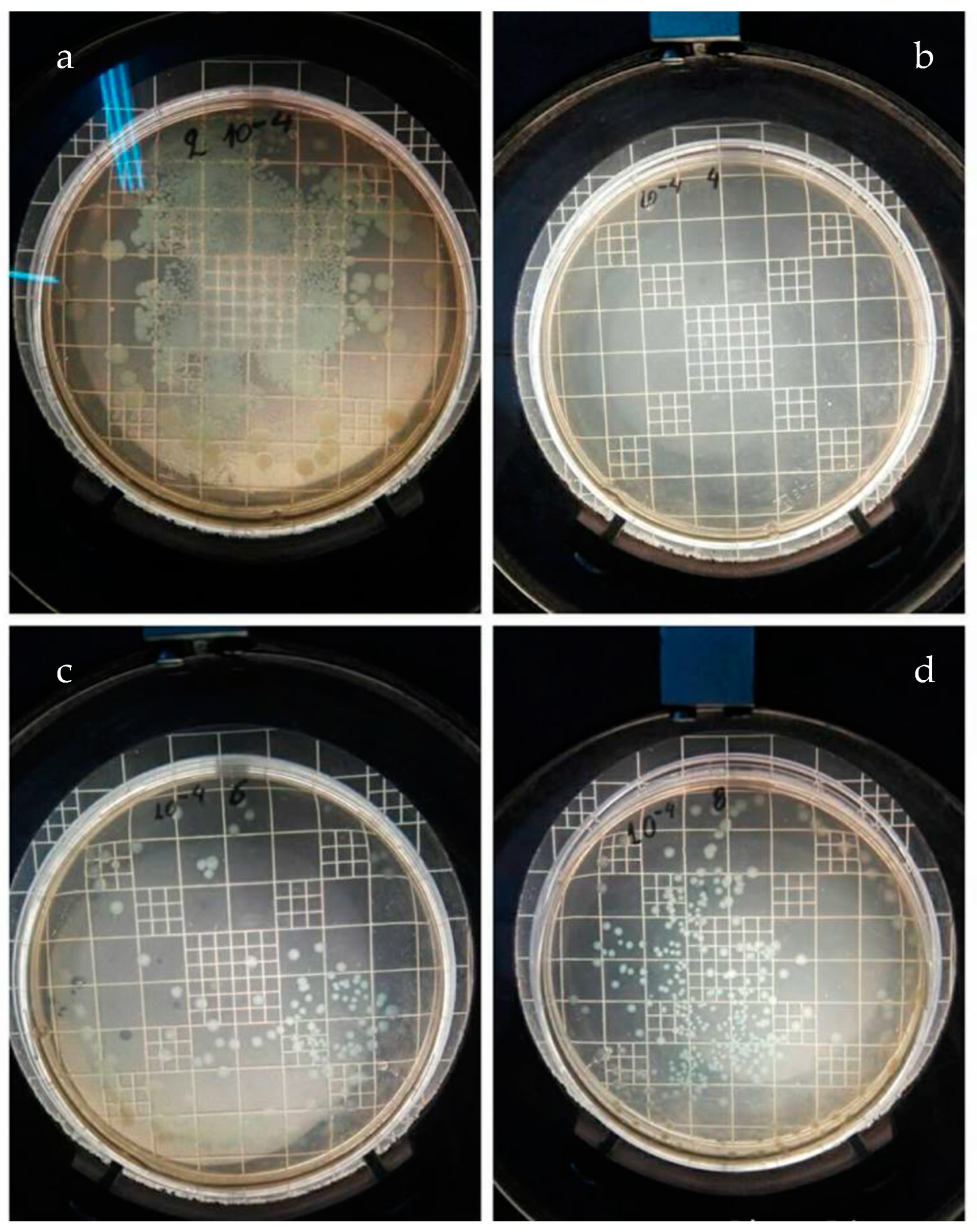 Nanomaterials 14 00291 g013