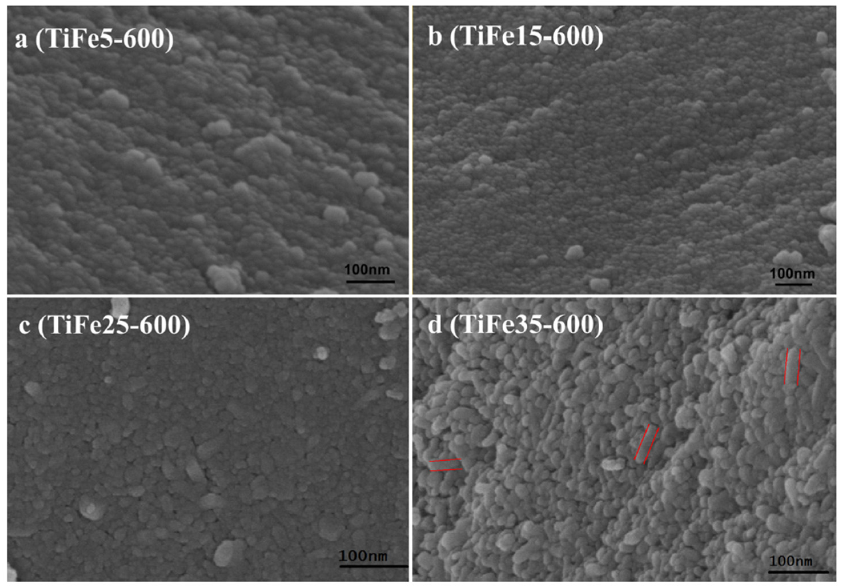 Nanomaterials 14 00293 g004