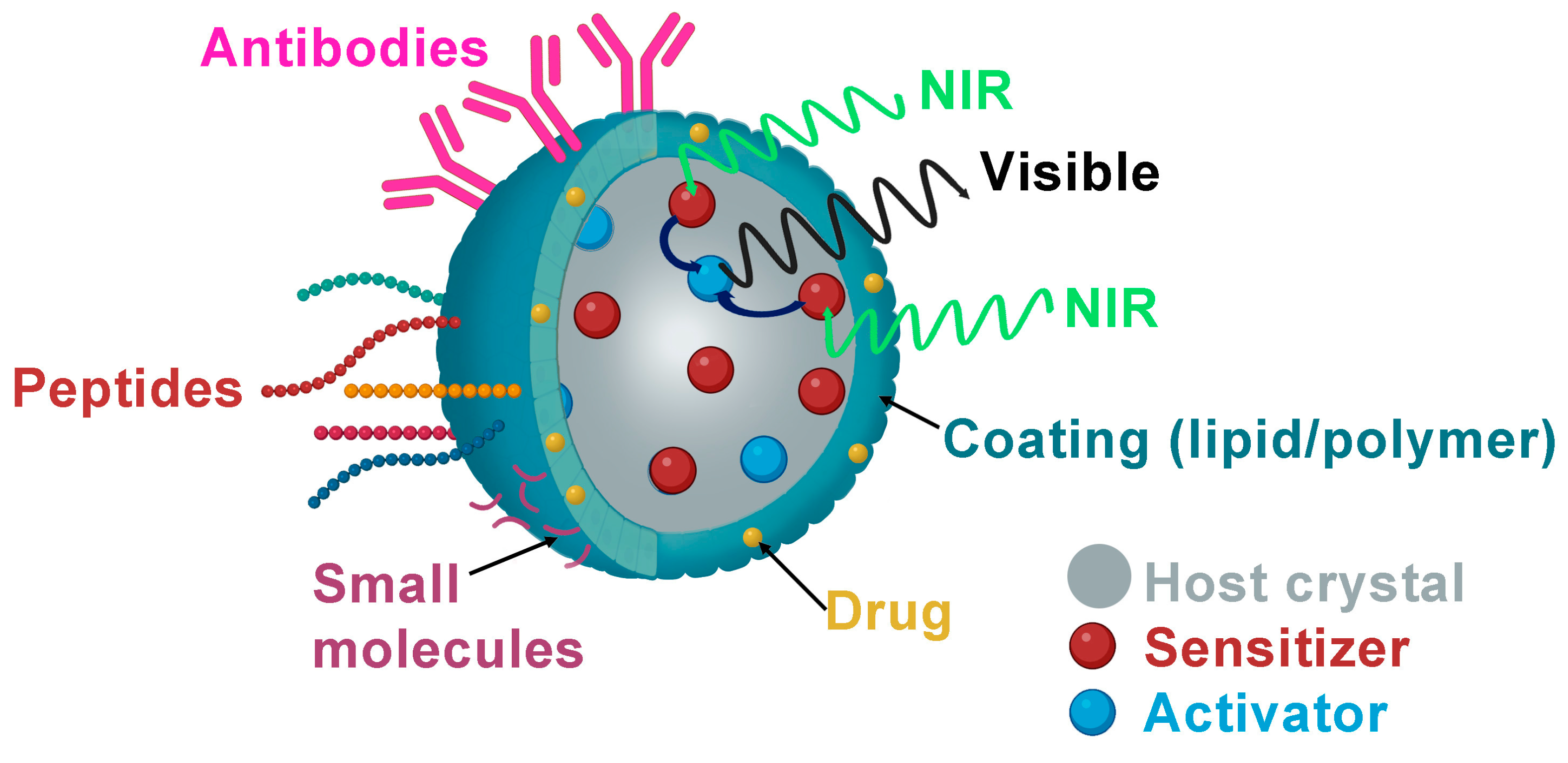 Nanomaterials 14 00296 g002