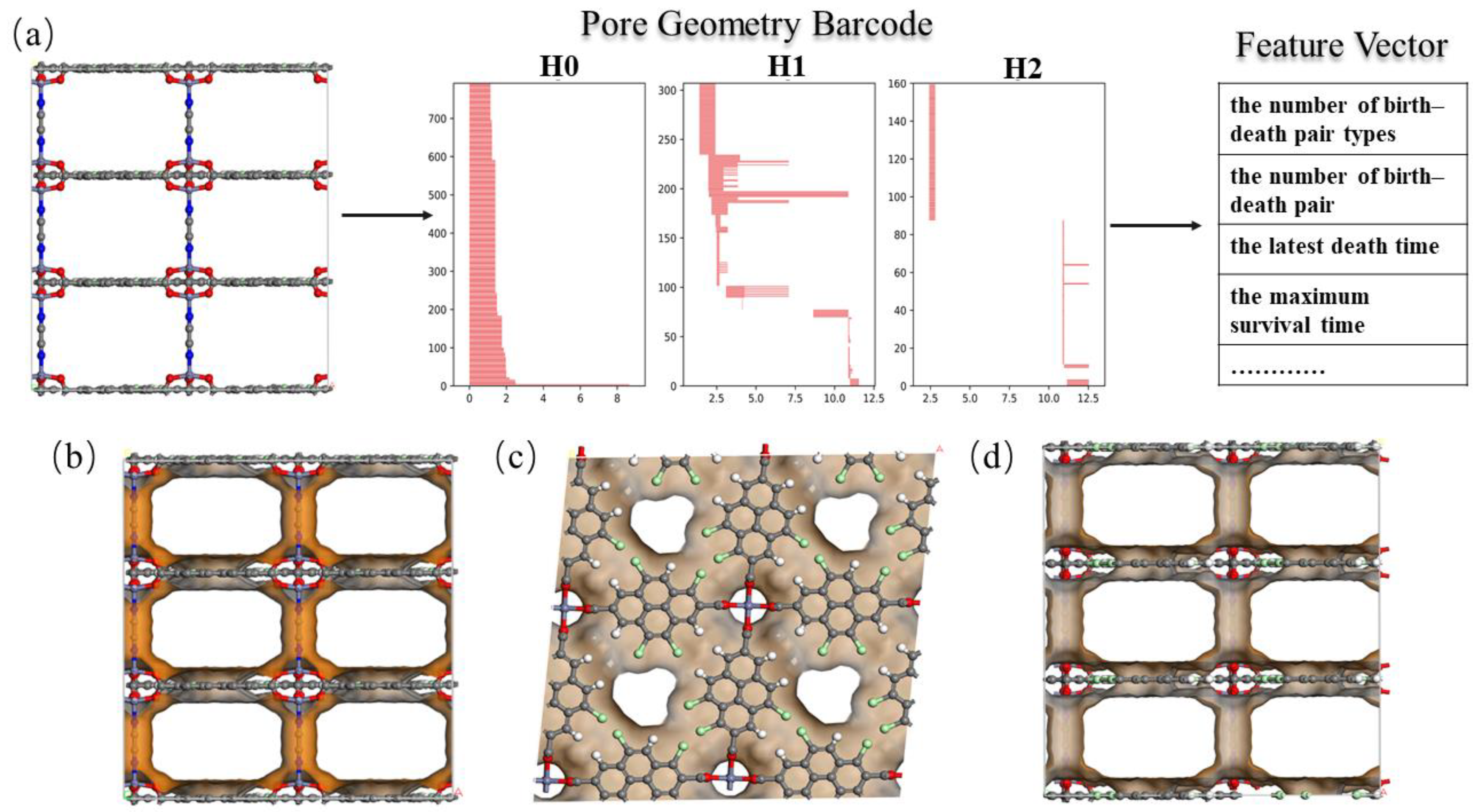 Nanomaterials 14 00298 g001