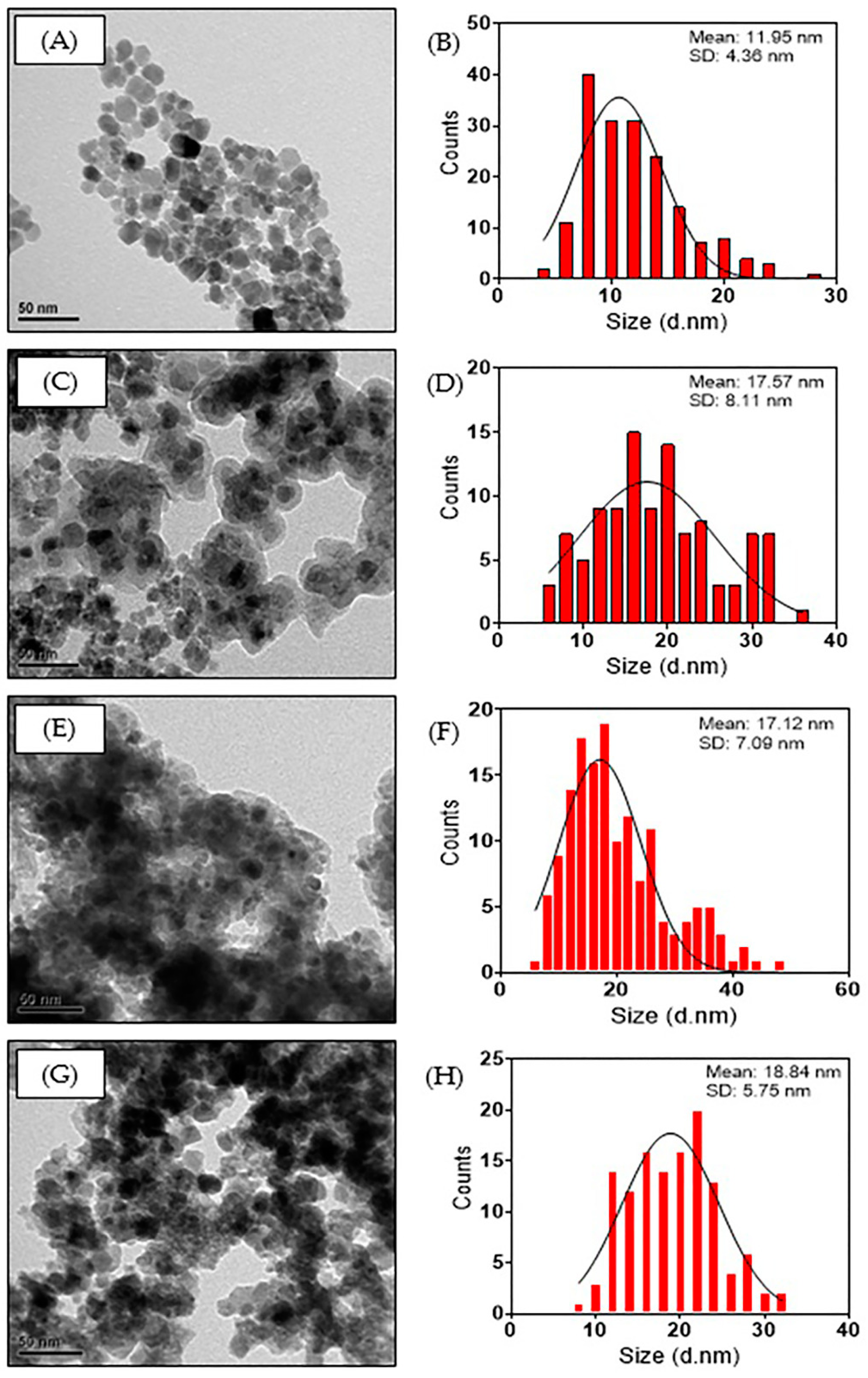 Nanomaterials 14 00299 g004 Nanomaterials 14 00299 g004