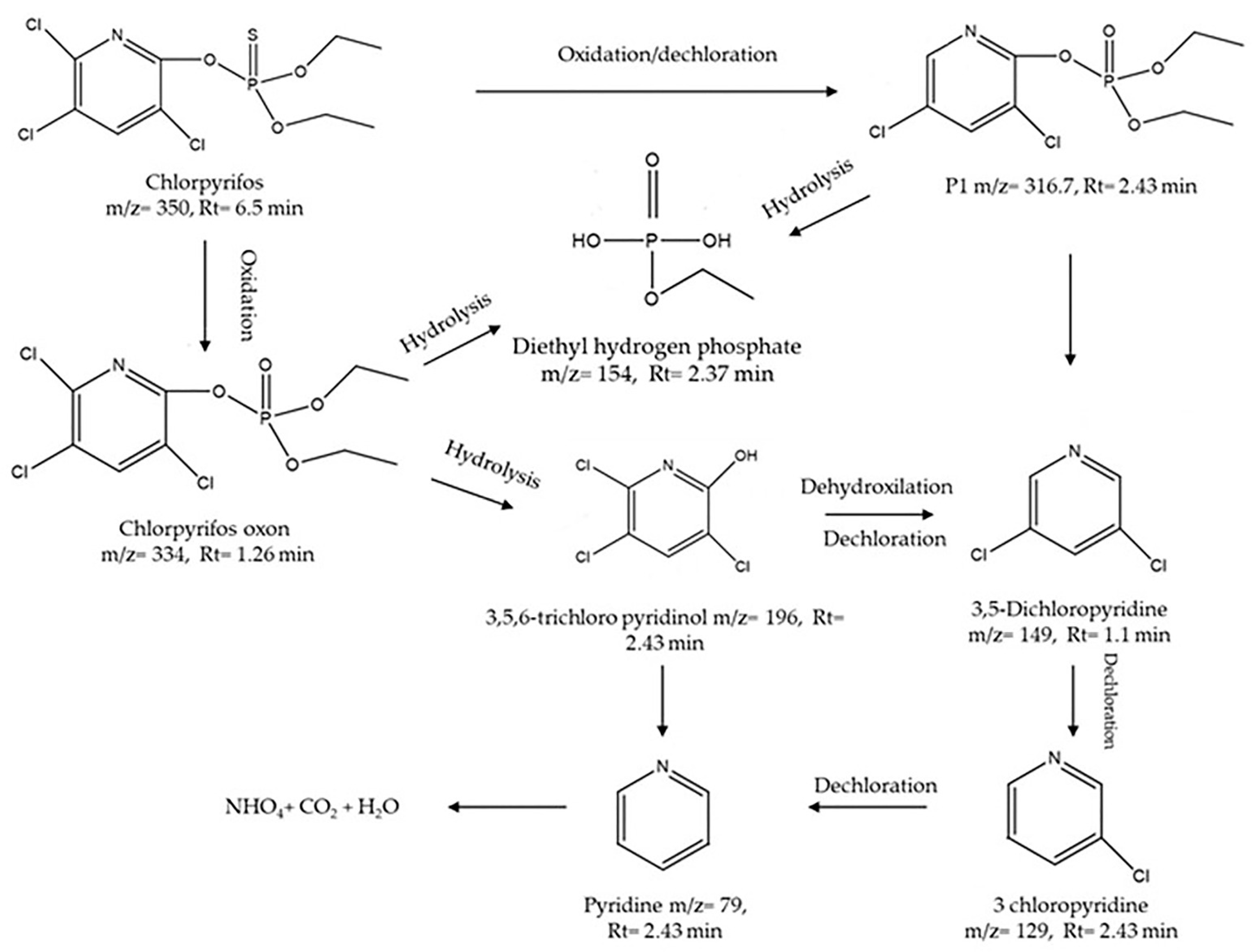Nanomaterials 14 00299 g012 Nanomaterials 14 00299 g012