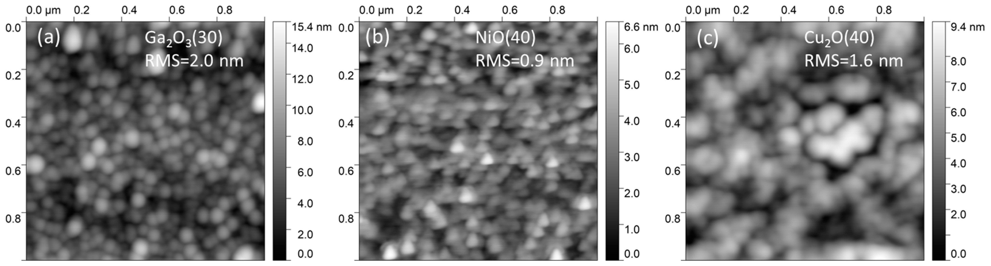 Nanomaterials 14 00300 g001