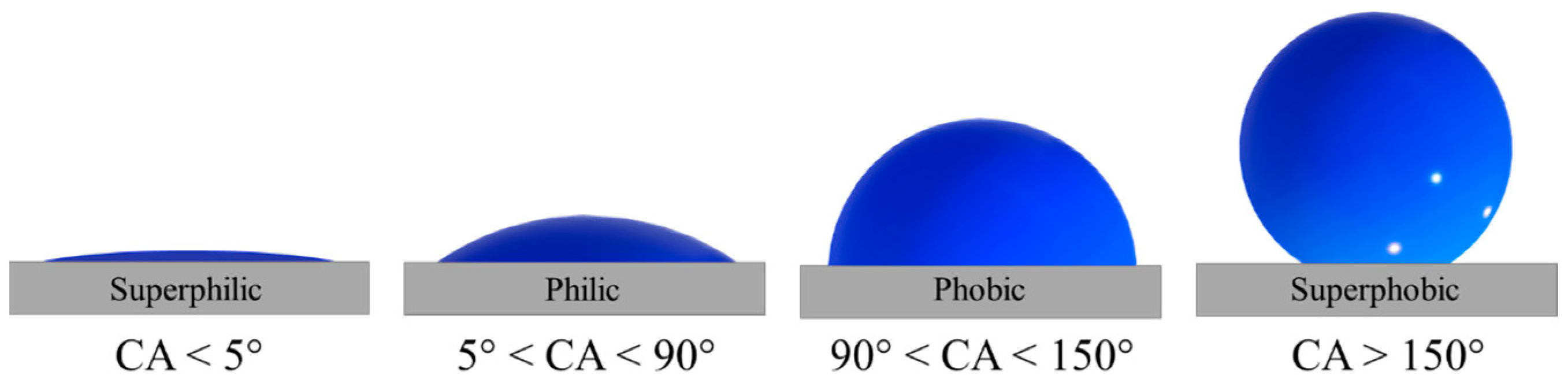 Nanomaterials 14 00301 g001