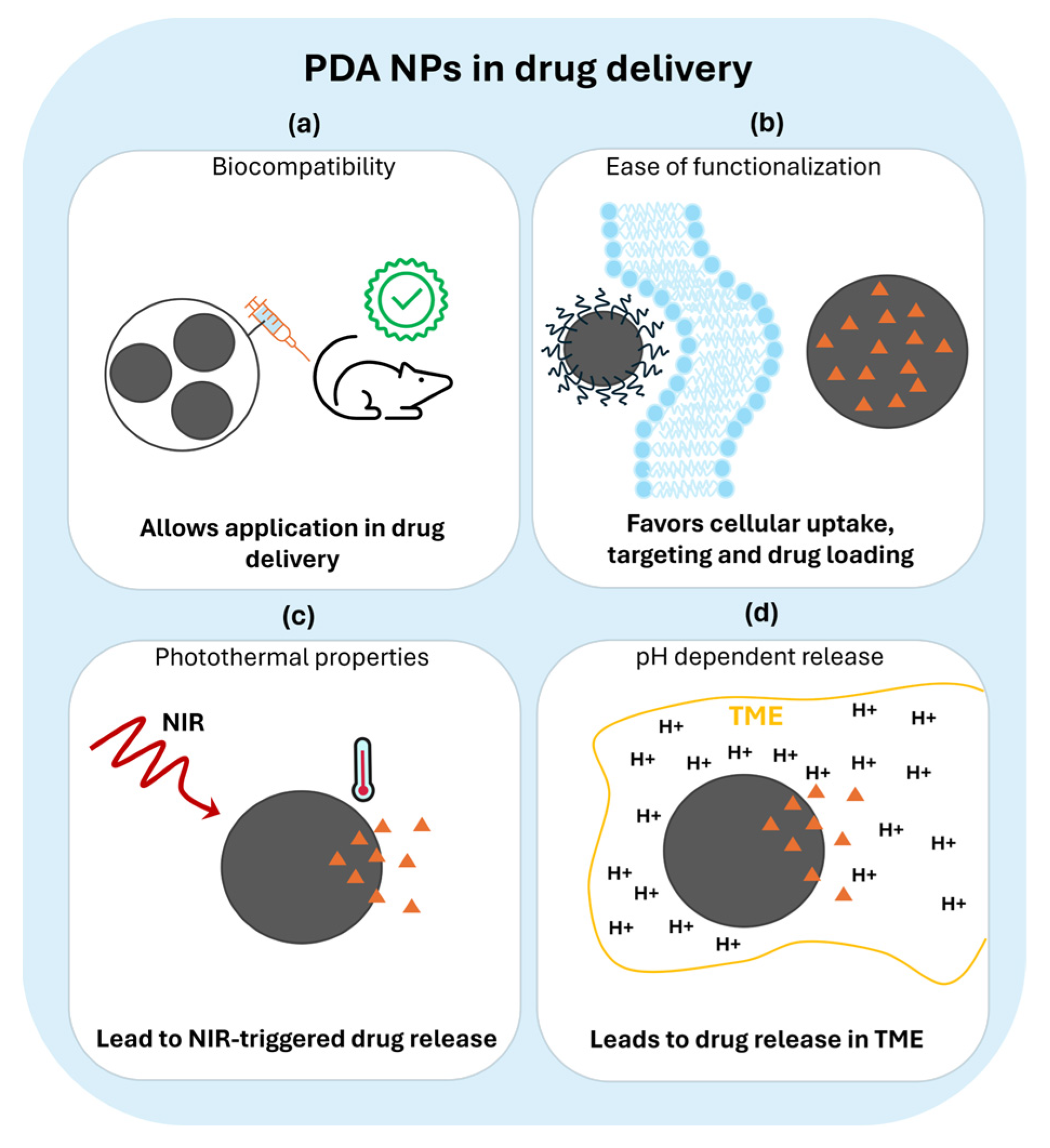 Nanomaterials 14 00303 g001