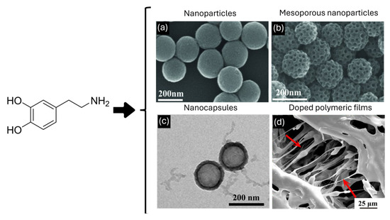 Polydopamine Nanosystems in Drug Delivery: Effect of Size, Morphology ...