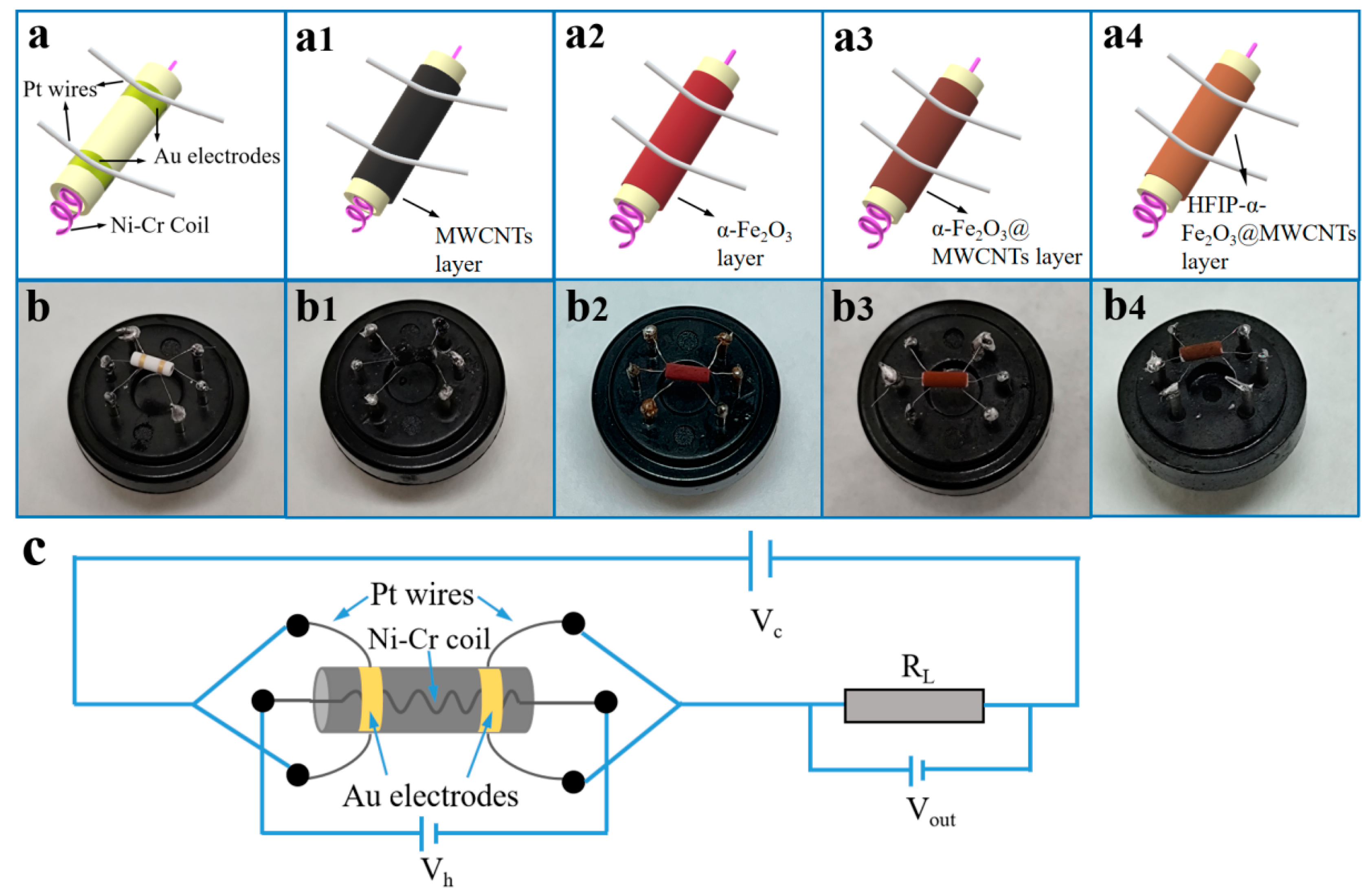 Nanomaterials 14 00305 g002