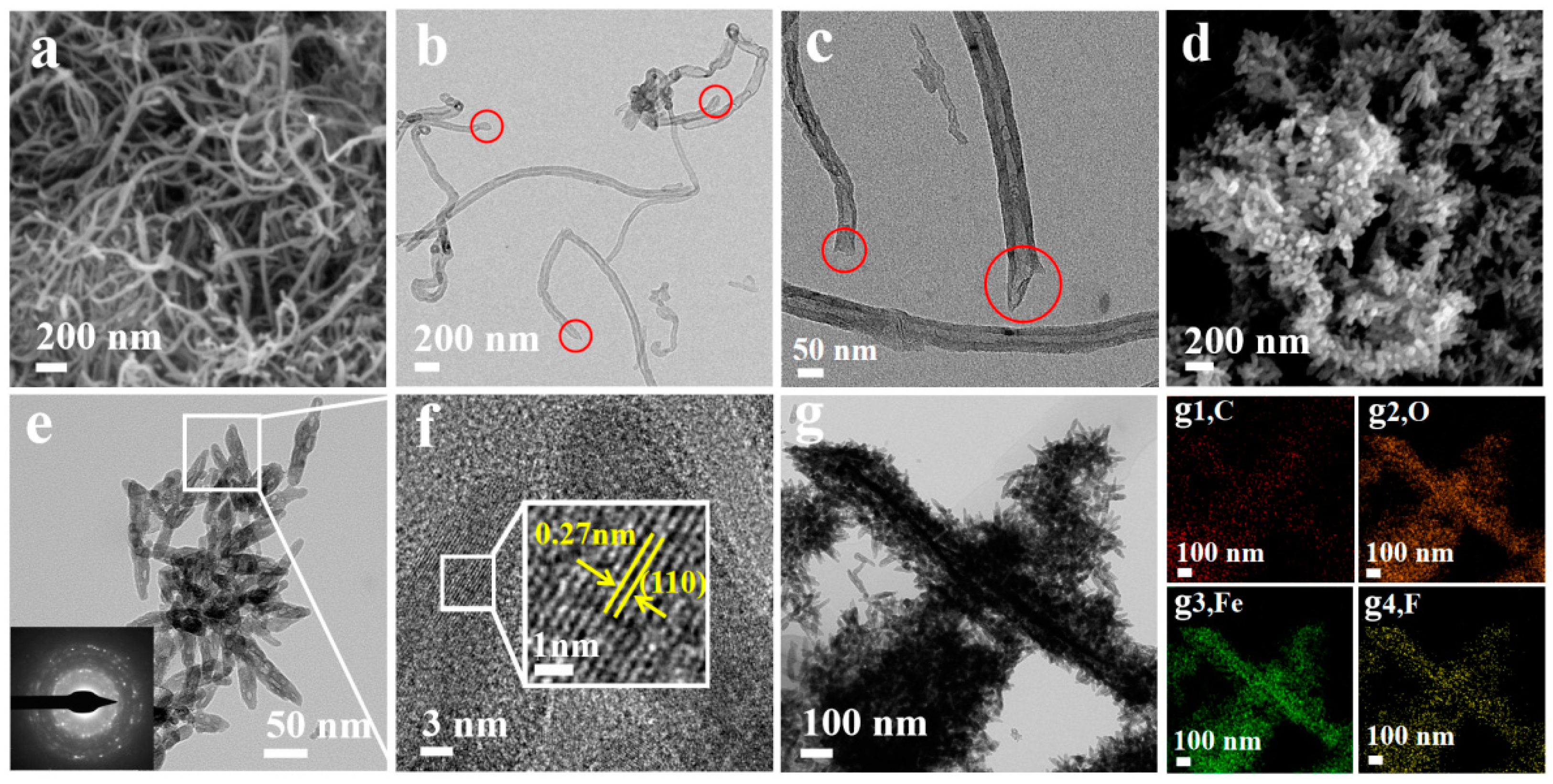 Nanomaterials 14 00305 g003