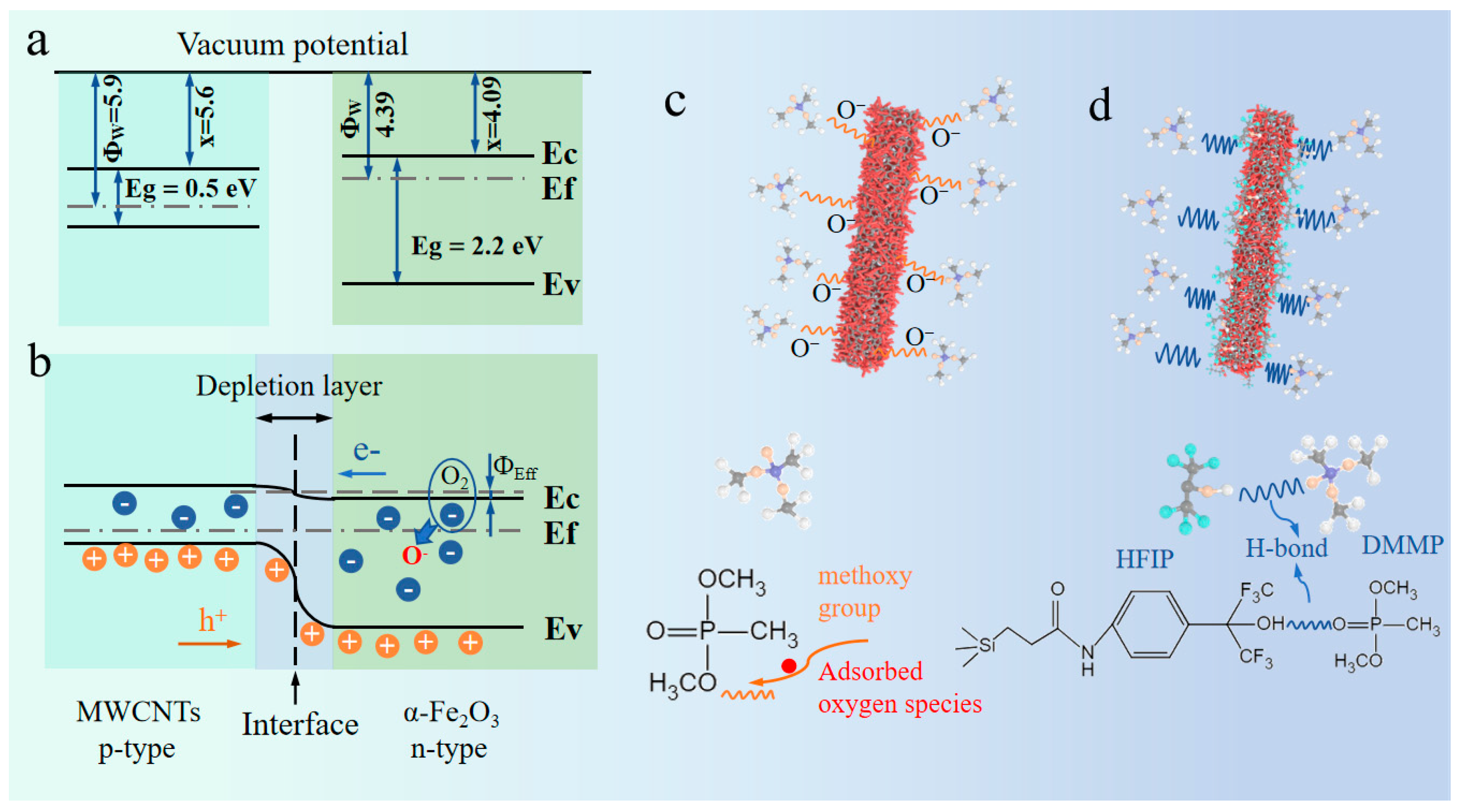 Nanomaterials 14 00305 g010
