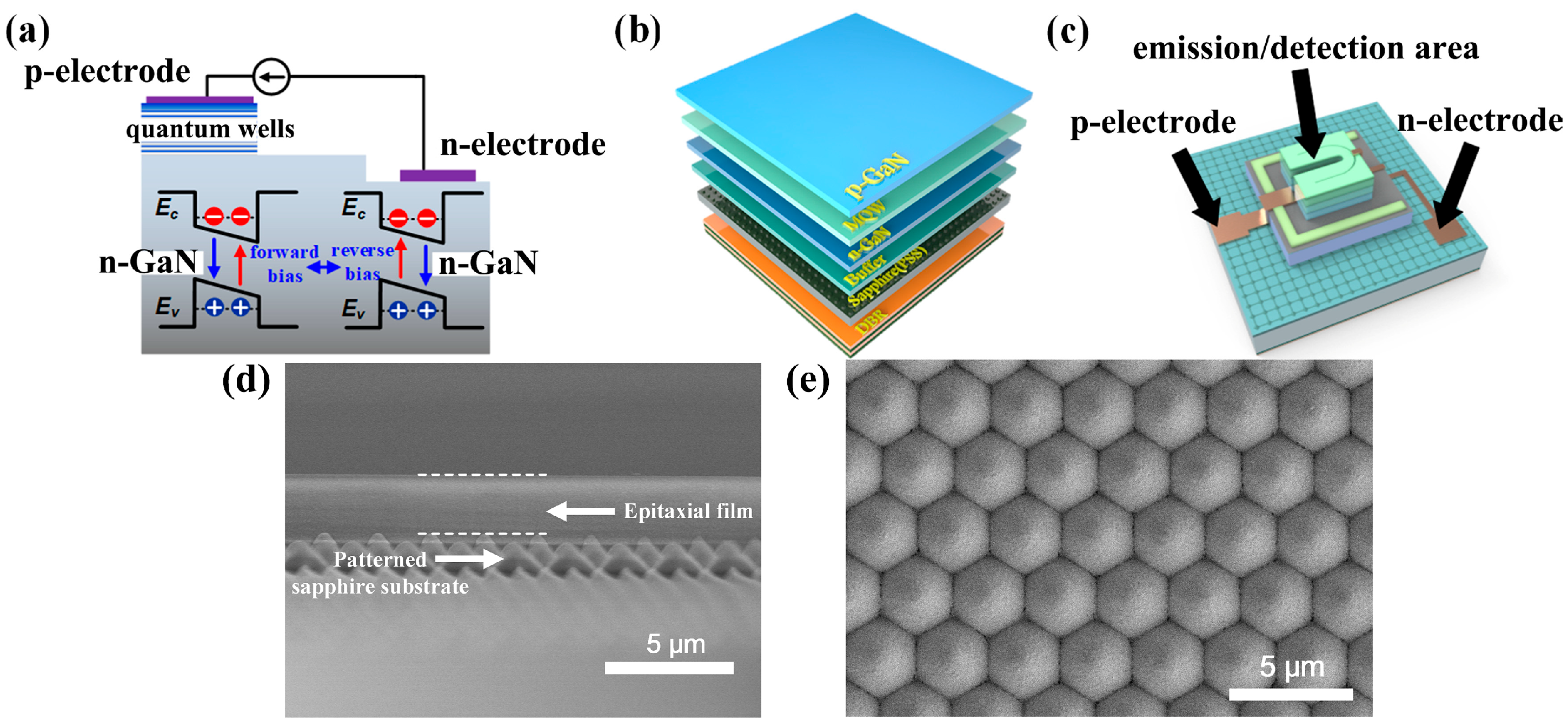 Nanomaterials 14 00307 g001