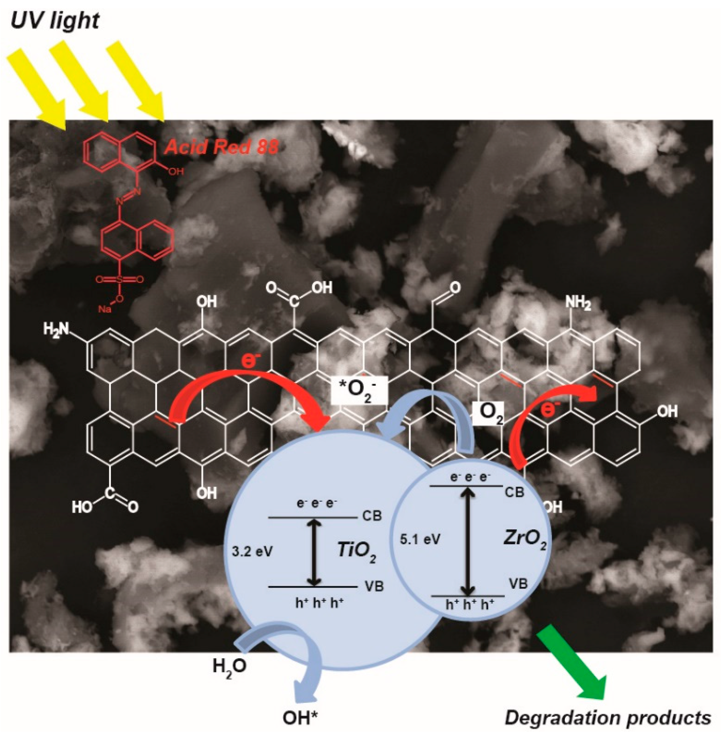 Nanomaterials 14 00309 g006