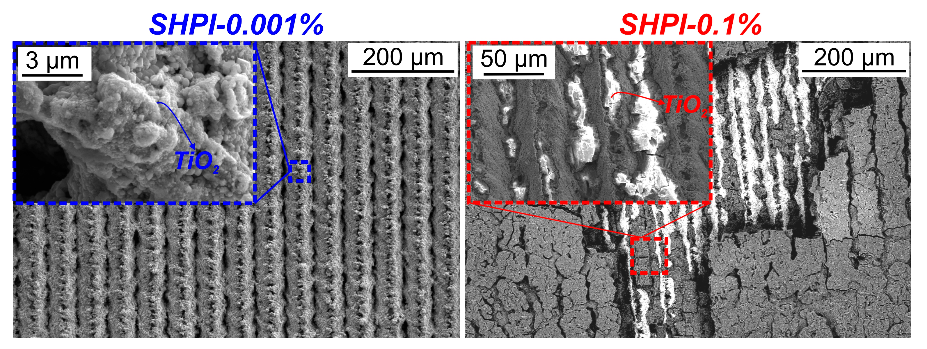 Nanomaterials 14 00311 g009