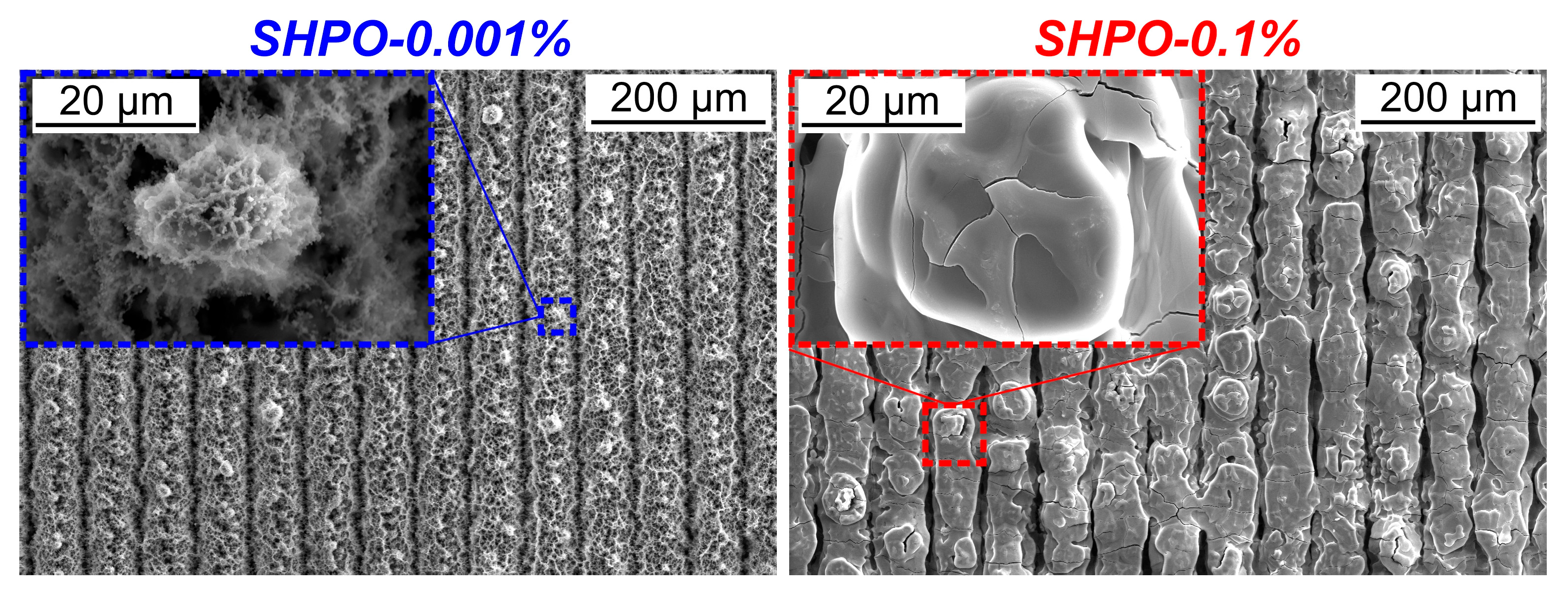 Nanomaterials 14 00311 g012