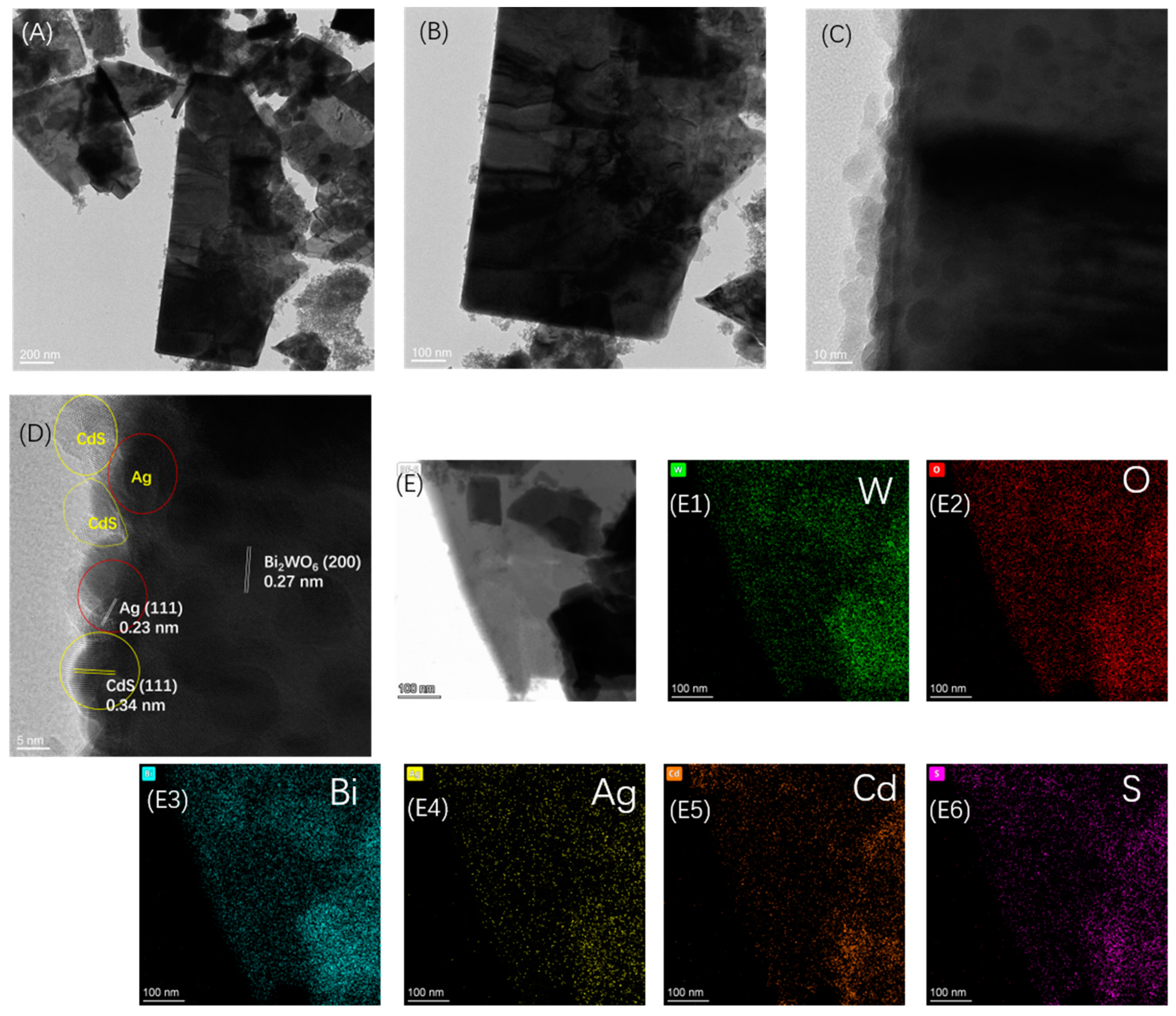 Nanomaterials 14 00315 g003