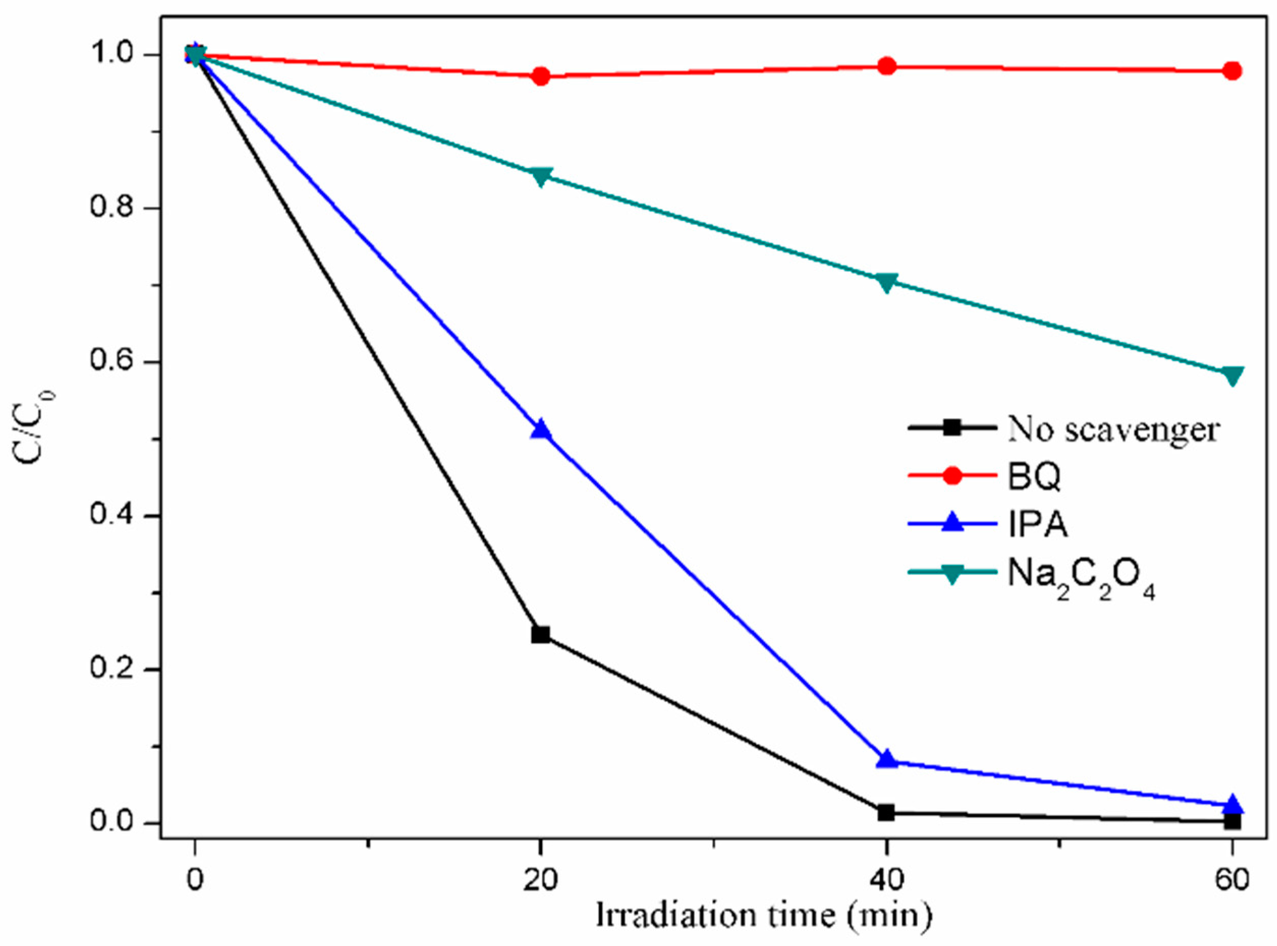 Nanomaterials 14 00315 g006