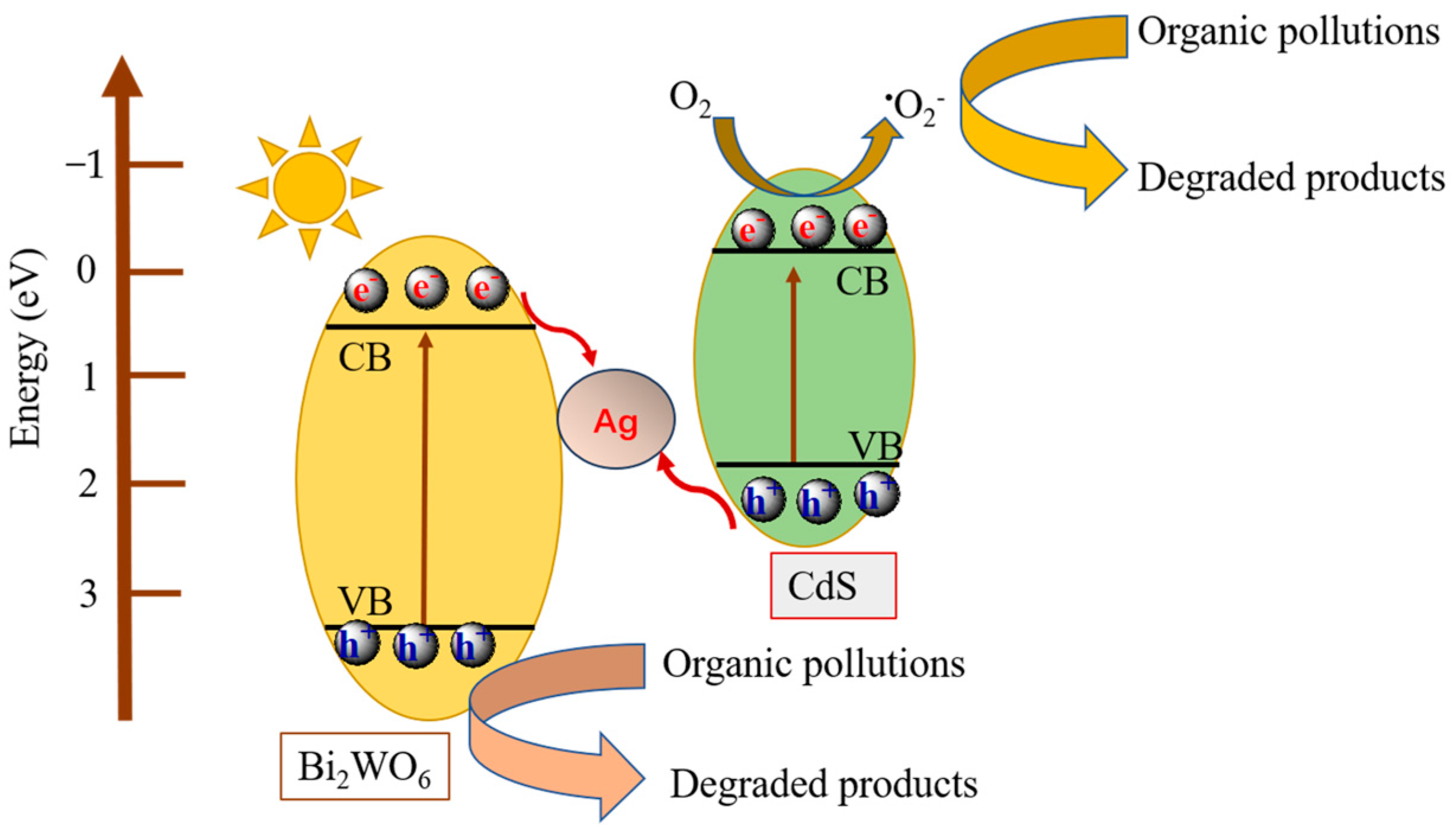 Nanomaterials 14 00315 g009