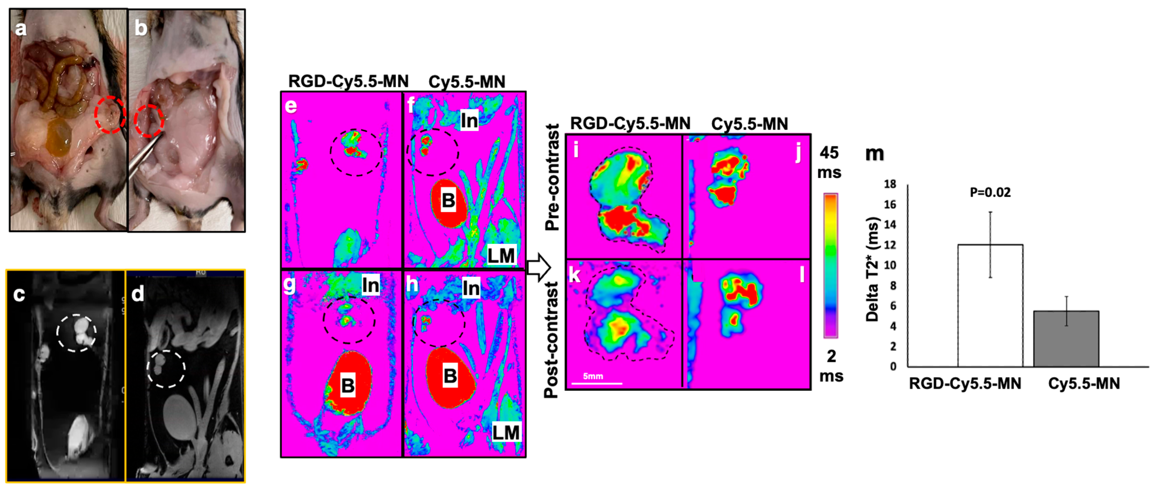 Nanomaterials 14 00319 g001