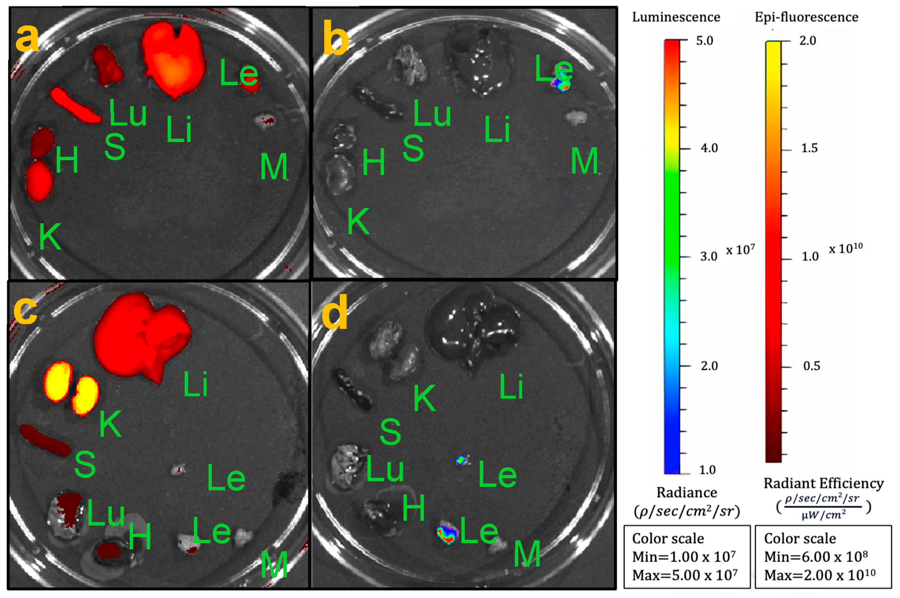 Nanomaterials 14 00319 g002