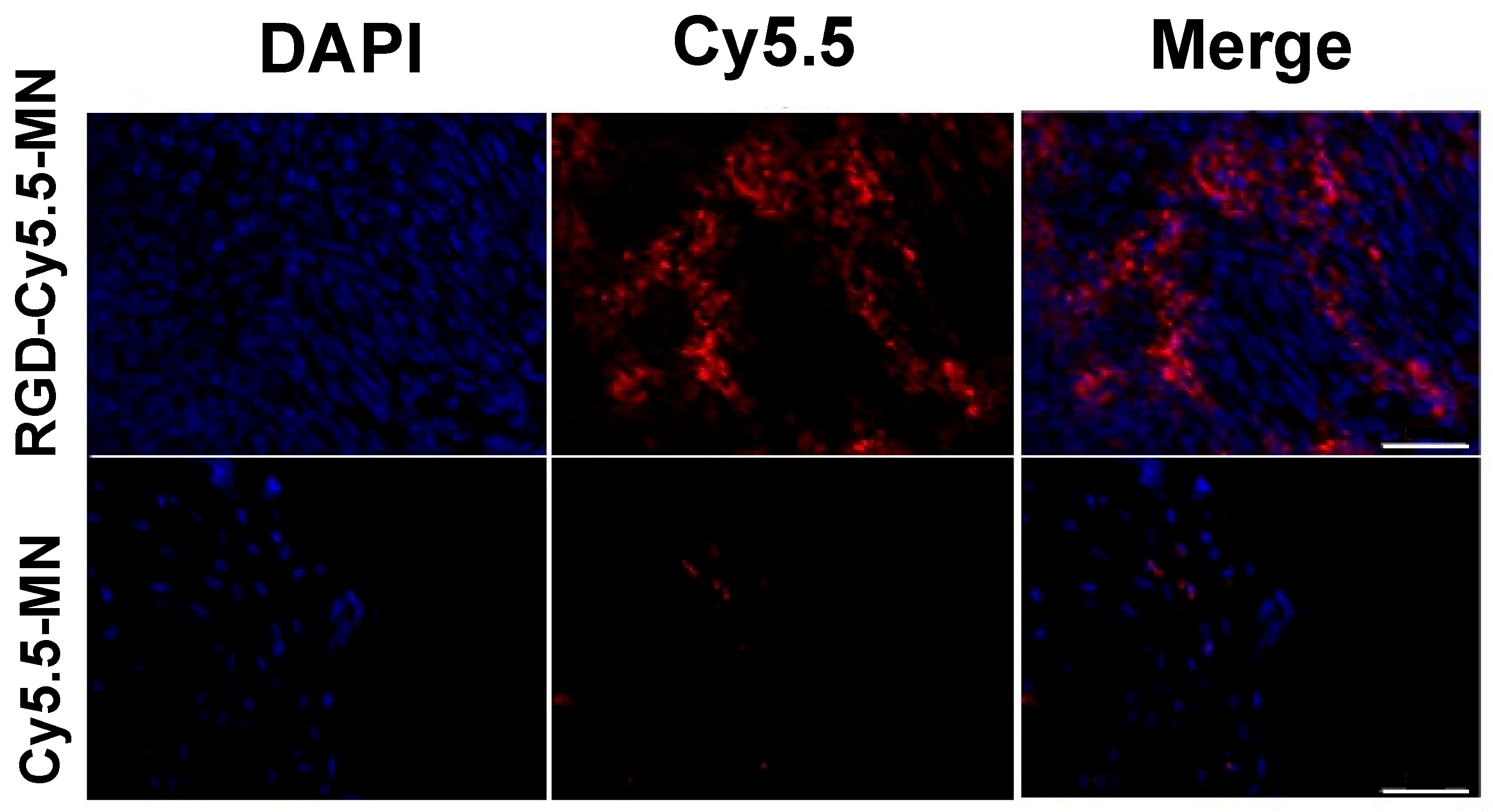 Nanomaterials 14 00319 g005