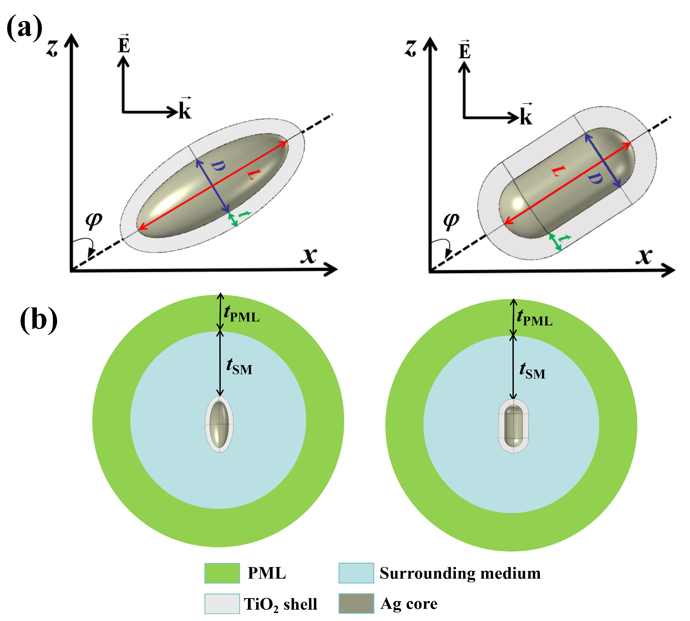 Nanomaterials 14 00325 g001