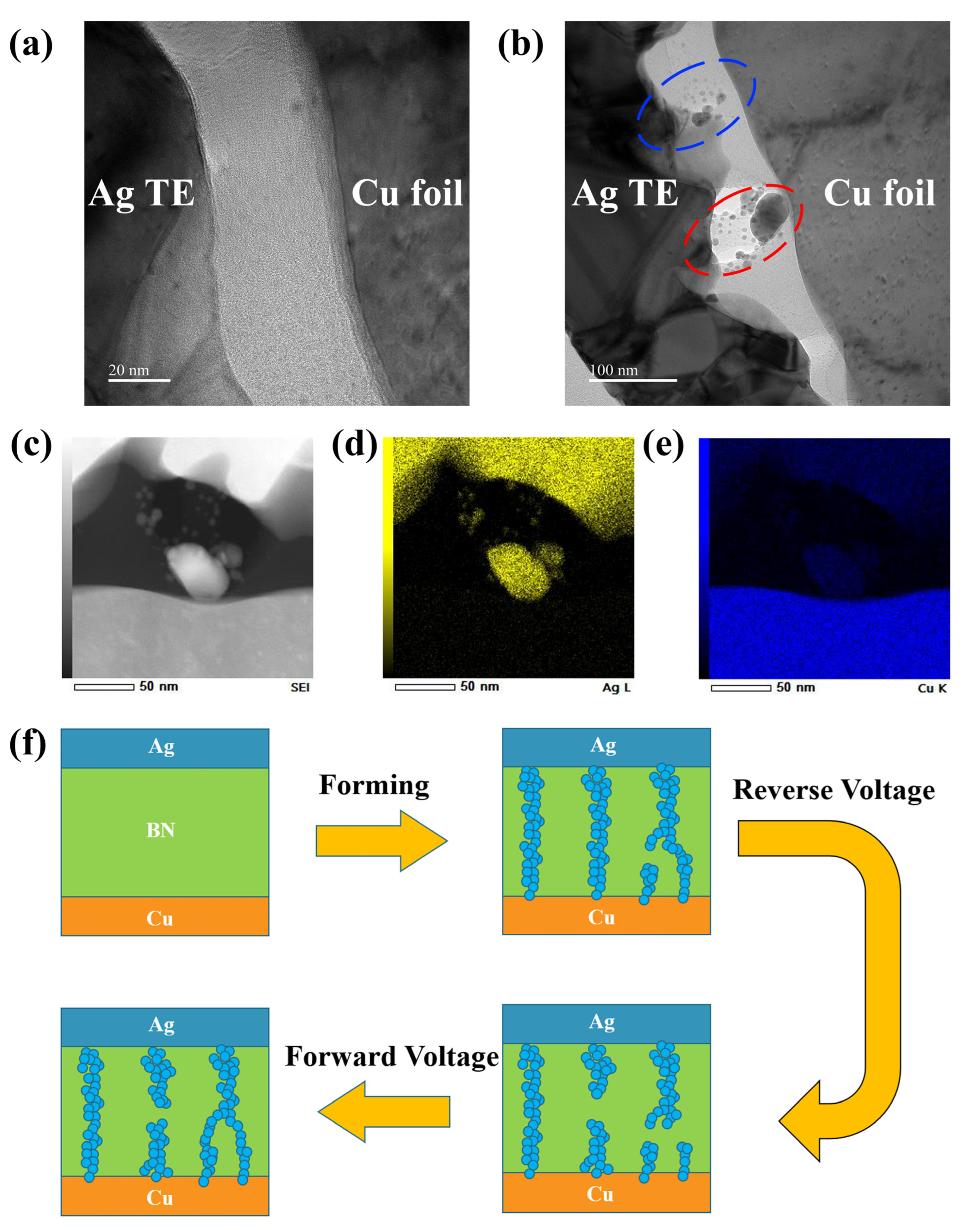 Nanomaterials 14 00327 g004