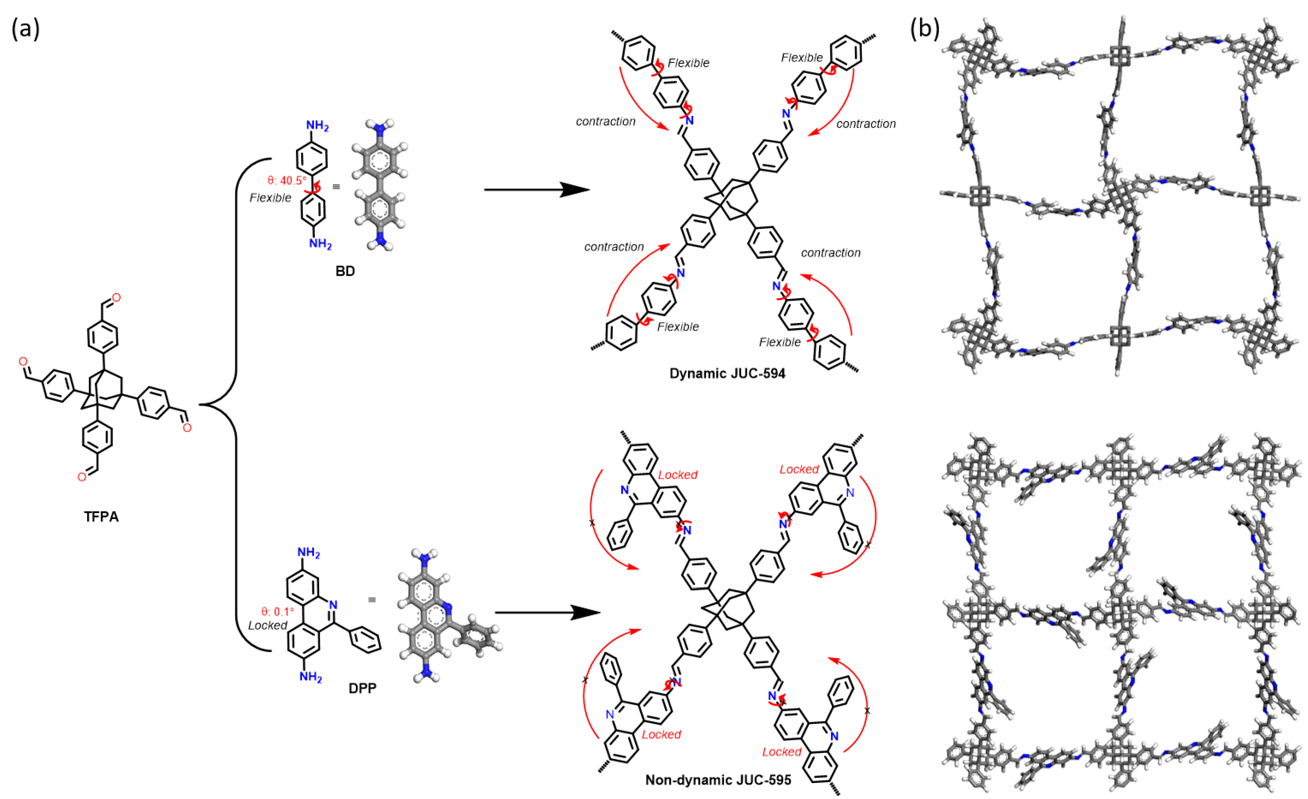 Nanomaterials 14 00329 sch001