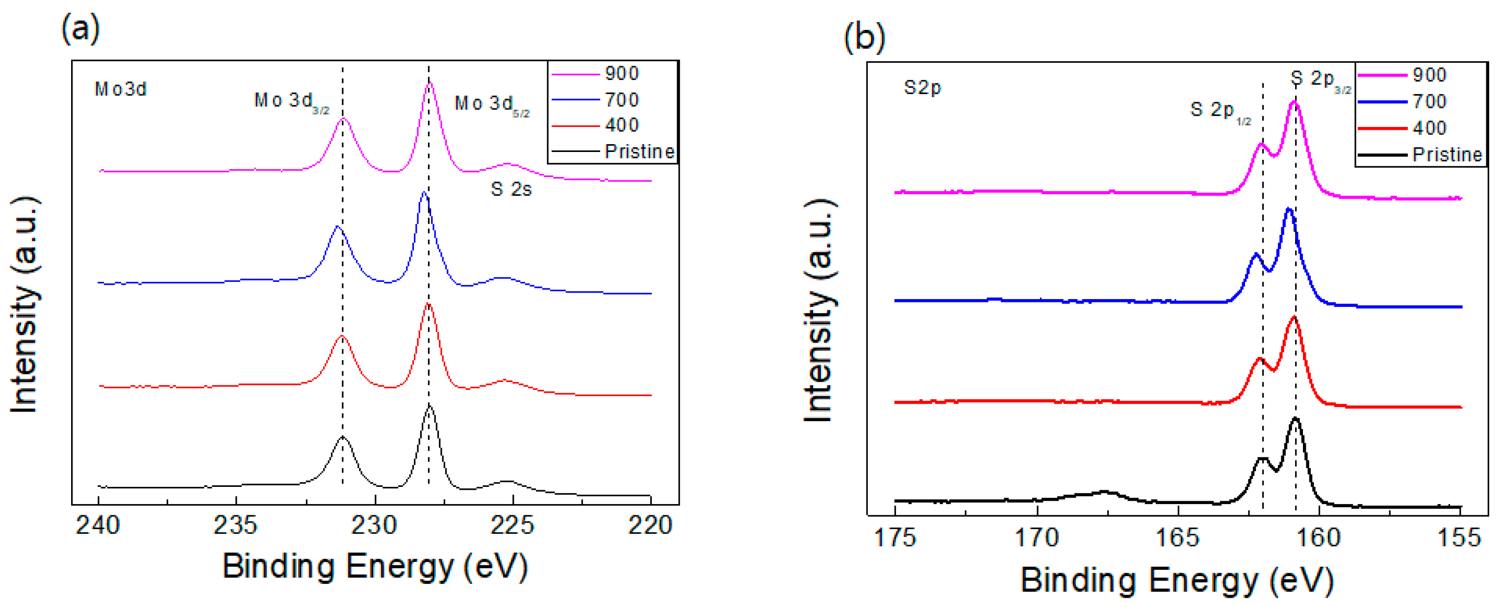 Nanomaterials 14 00334 g002