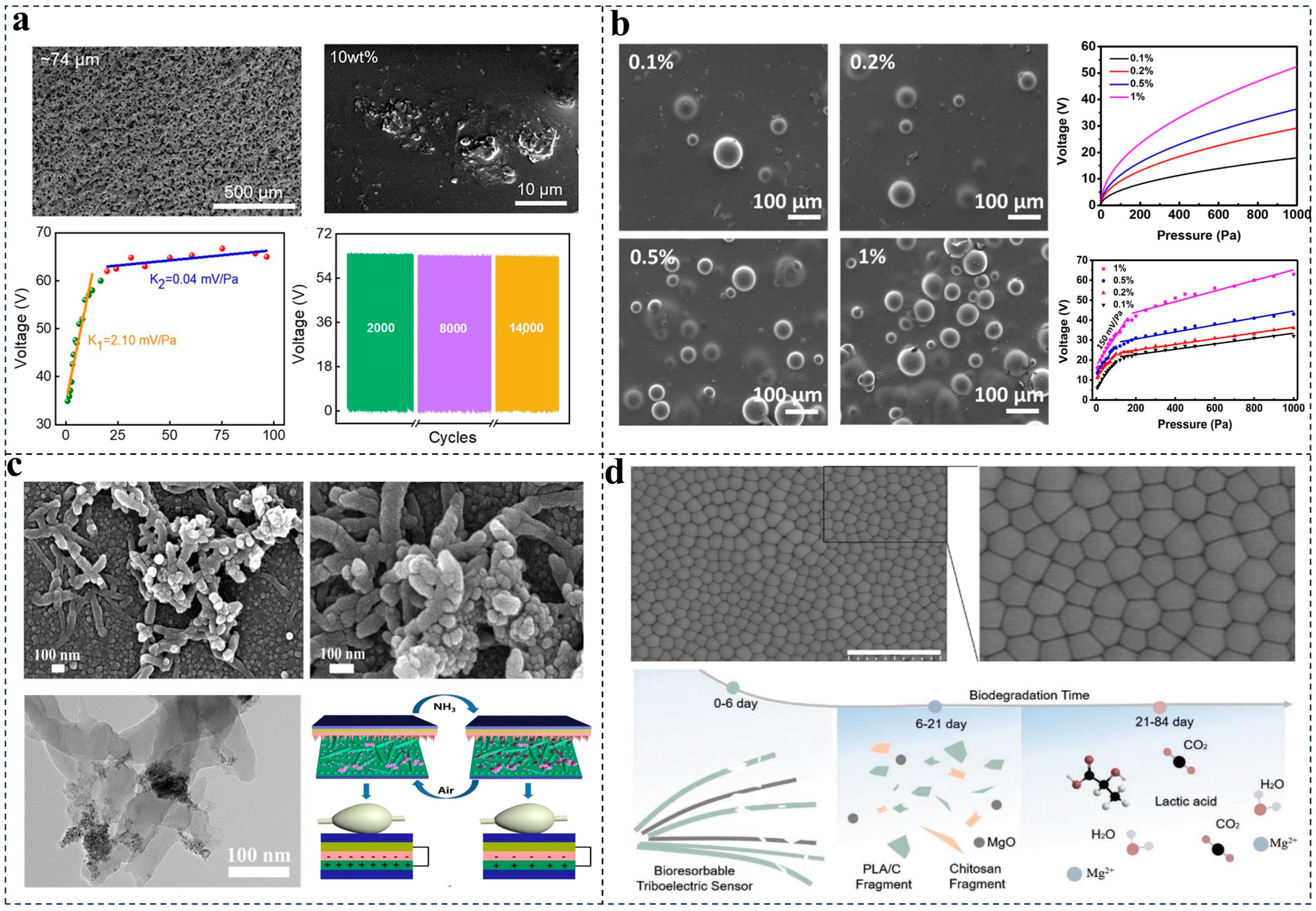 Nanomaterials 14 00336 g003