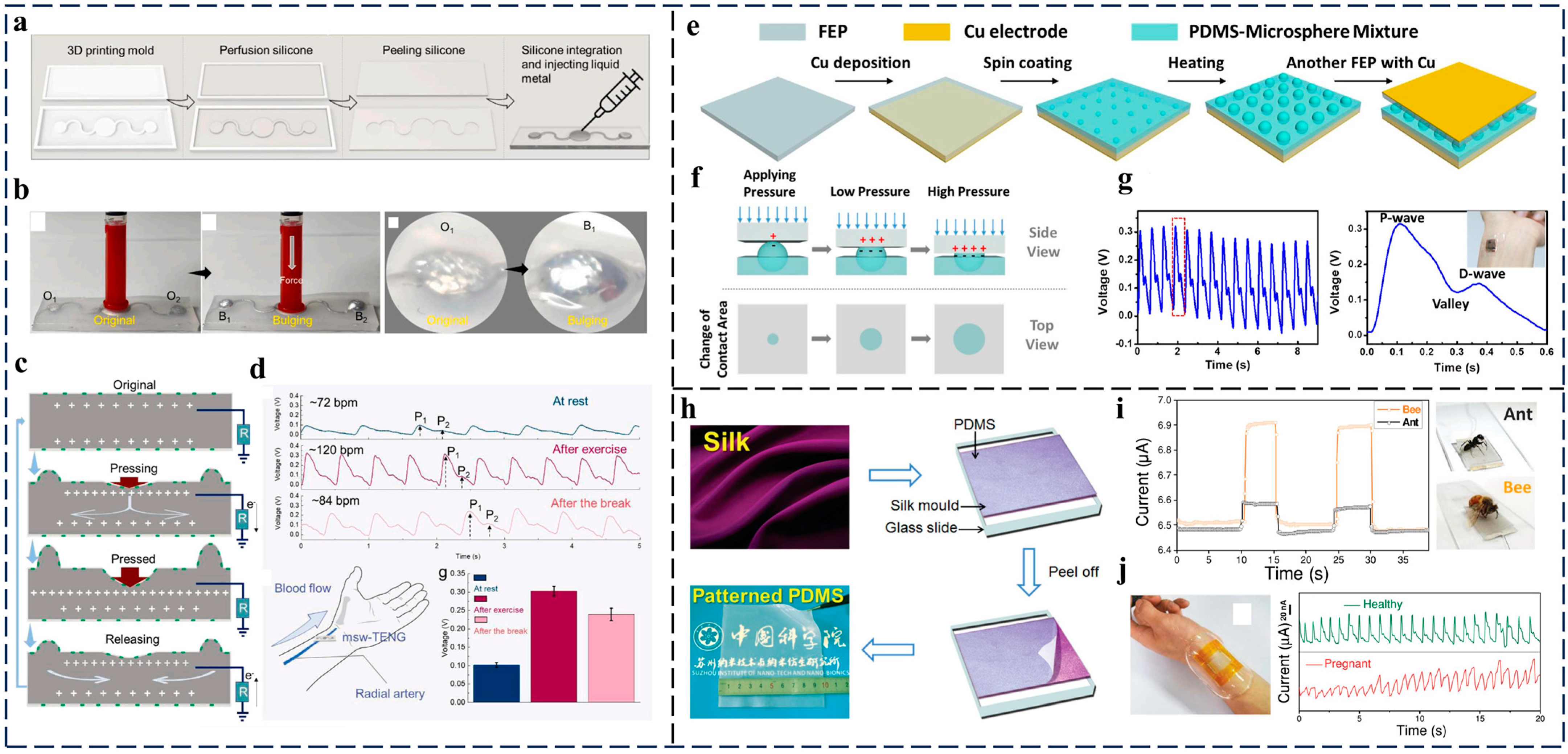 Nanomaterials 14 00336 g010