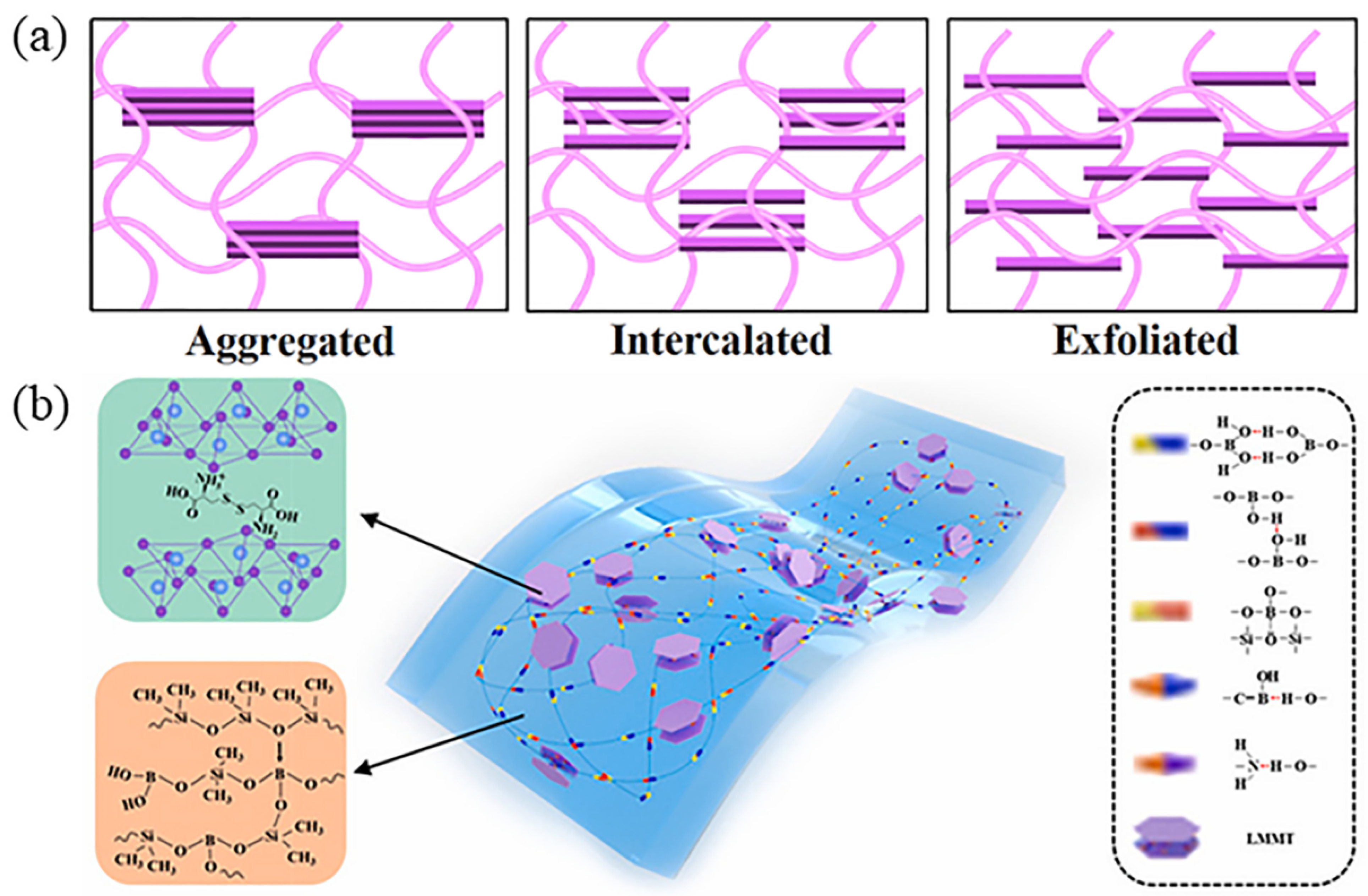 Nanomaterials 14 00338 g003