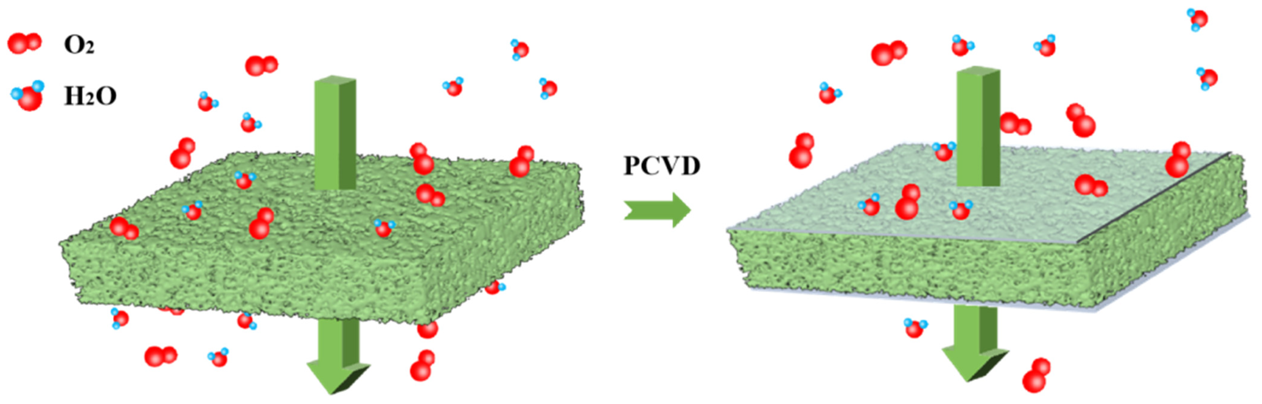 Nanomaterials 14 00338 g004