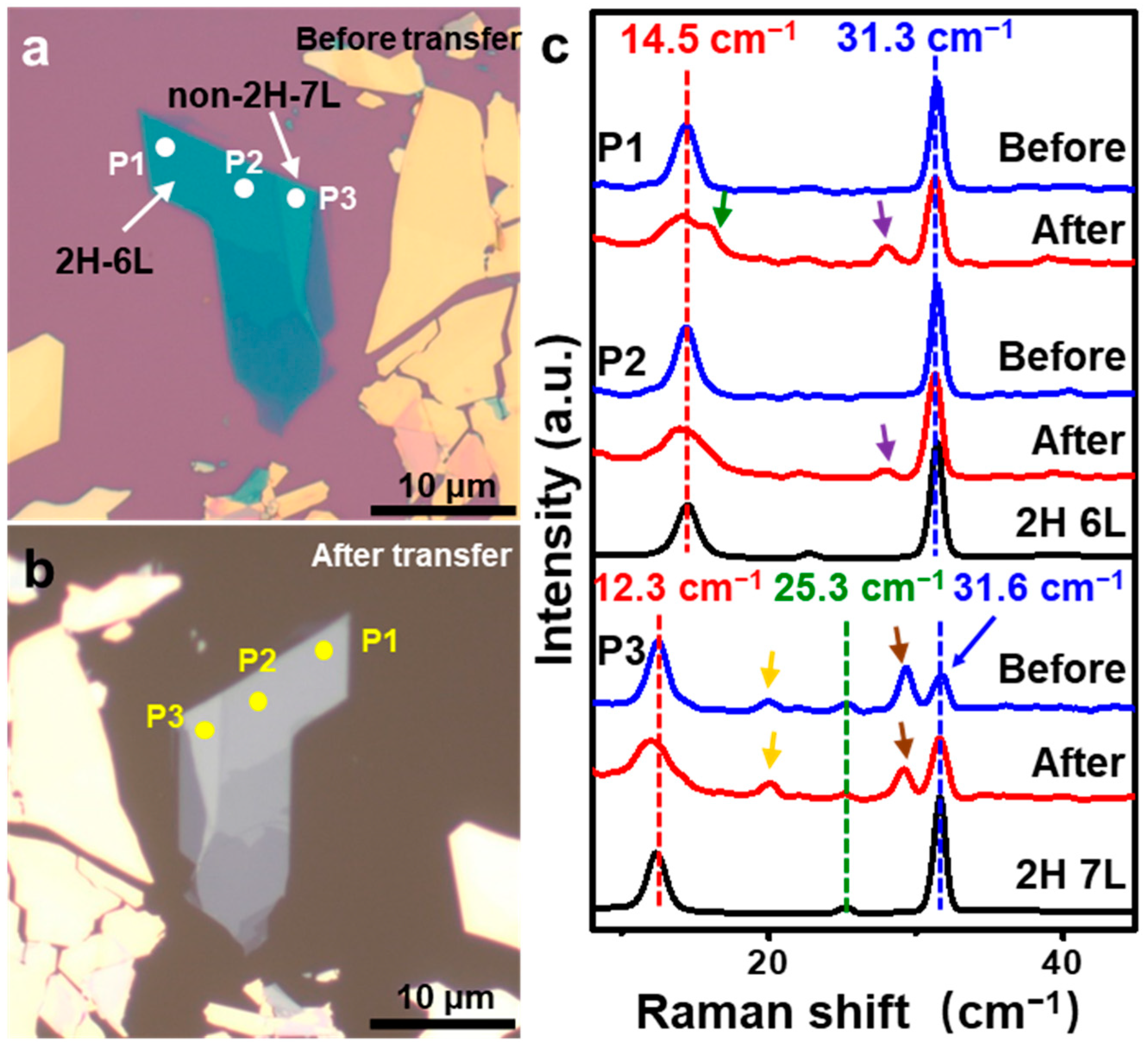 Nanomaterials 14 00339 g001