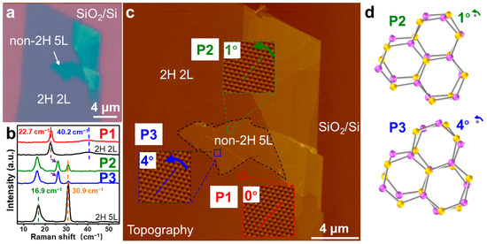 Probing Polymorphic Stacking Domains in Mechanically