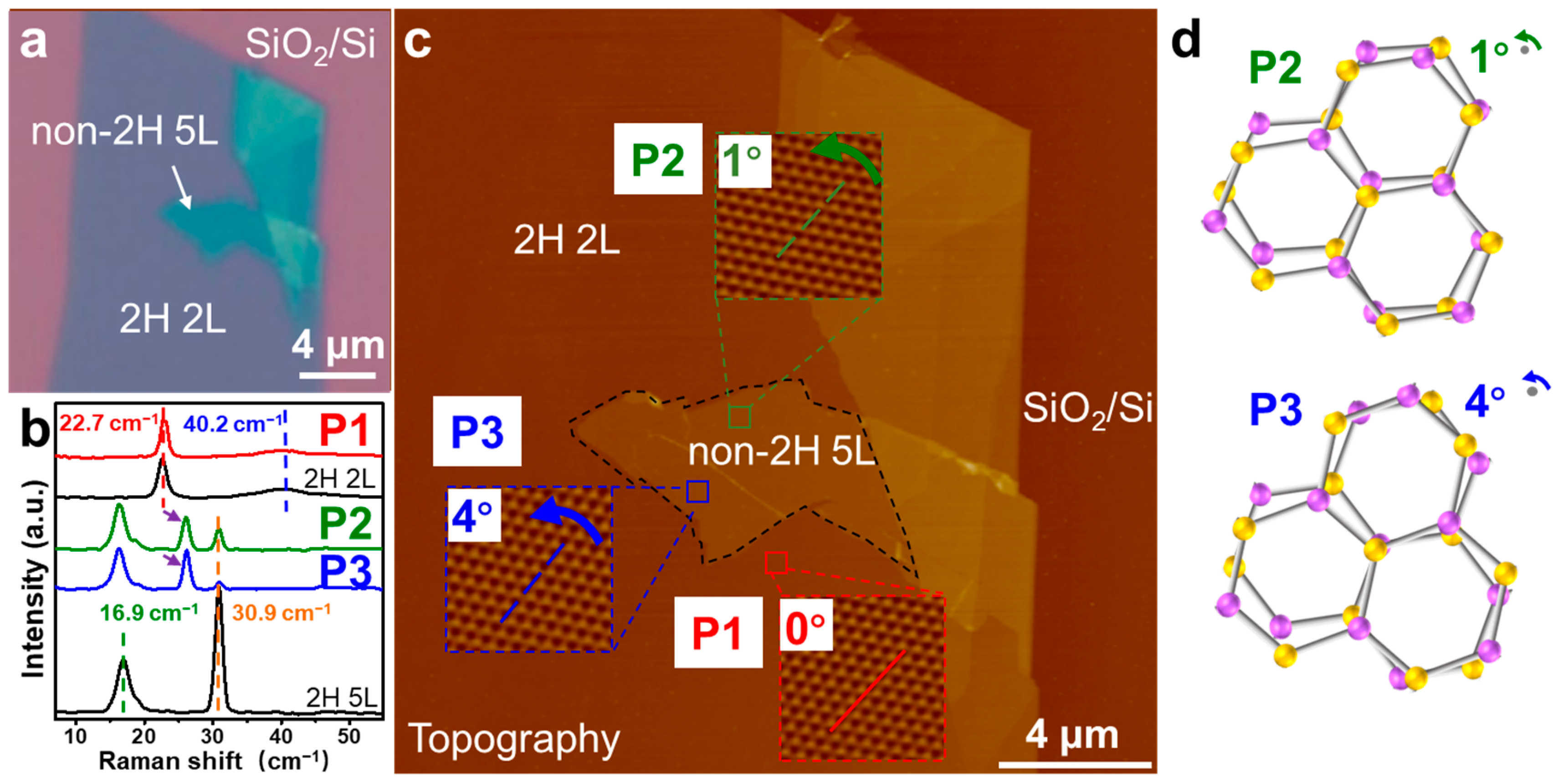 Nanomaterials 14 00339 g002