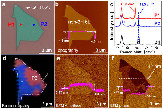 Probing Polymorphic Stacking Domains in Mechanically Exfoliated Two ...