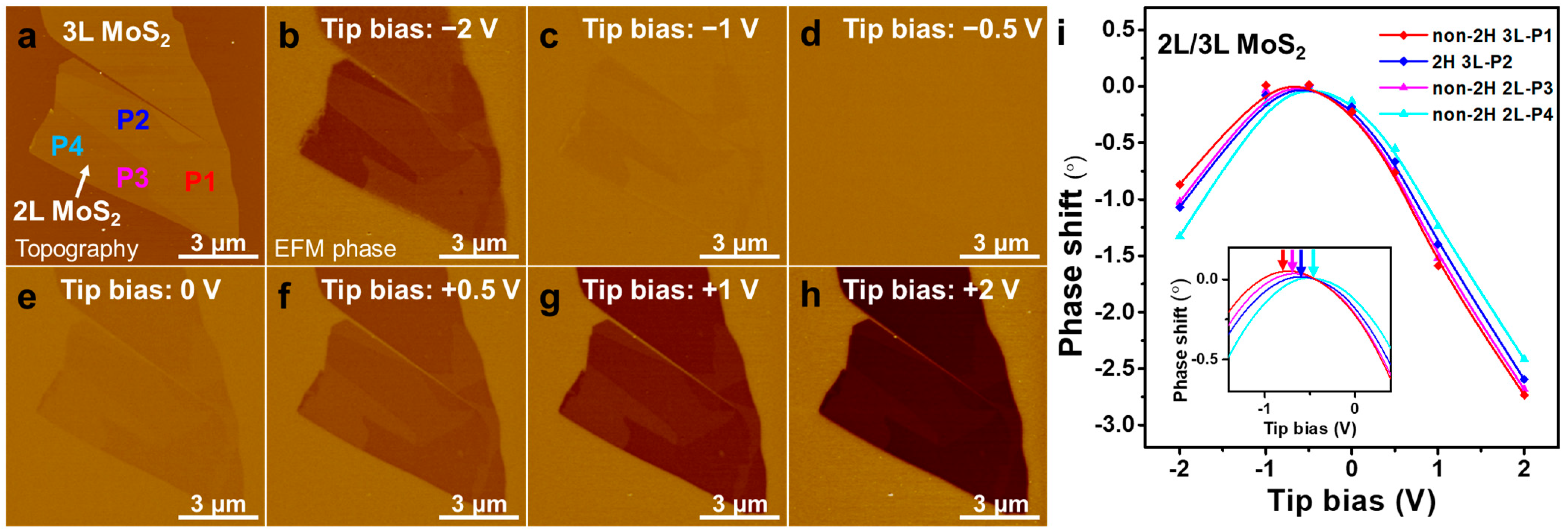 Nanomaterials 14 00339 g004