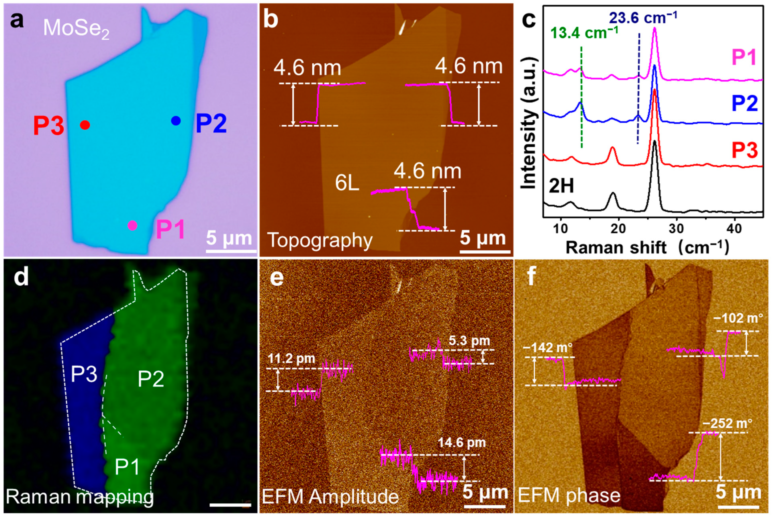 Nanomaterials 14 00339 g005