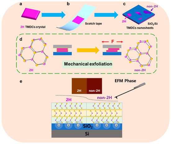 Probing Polymorphic Stacking Domains in Mechanically