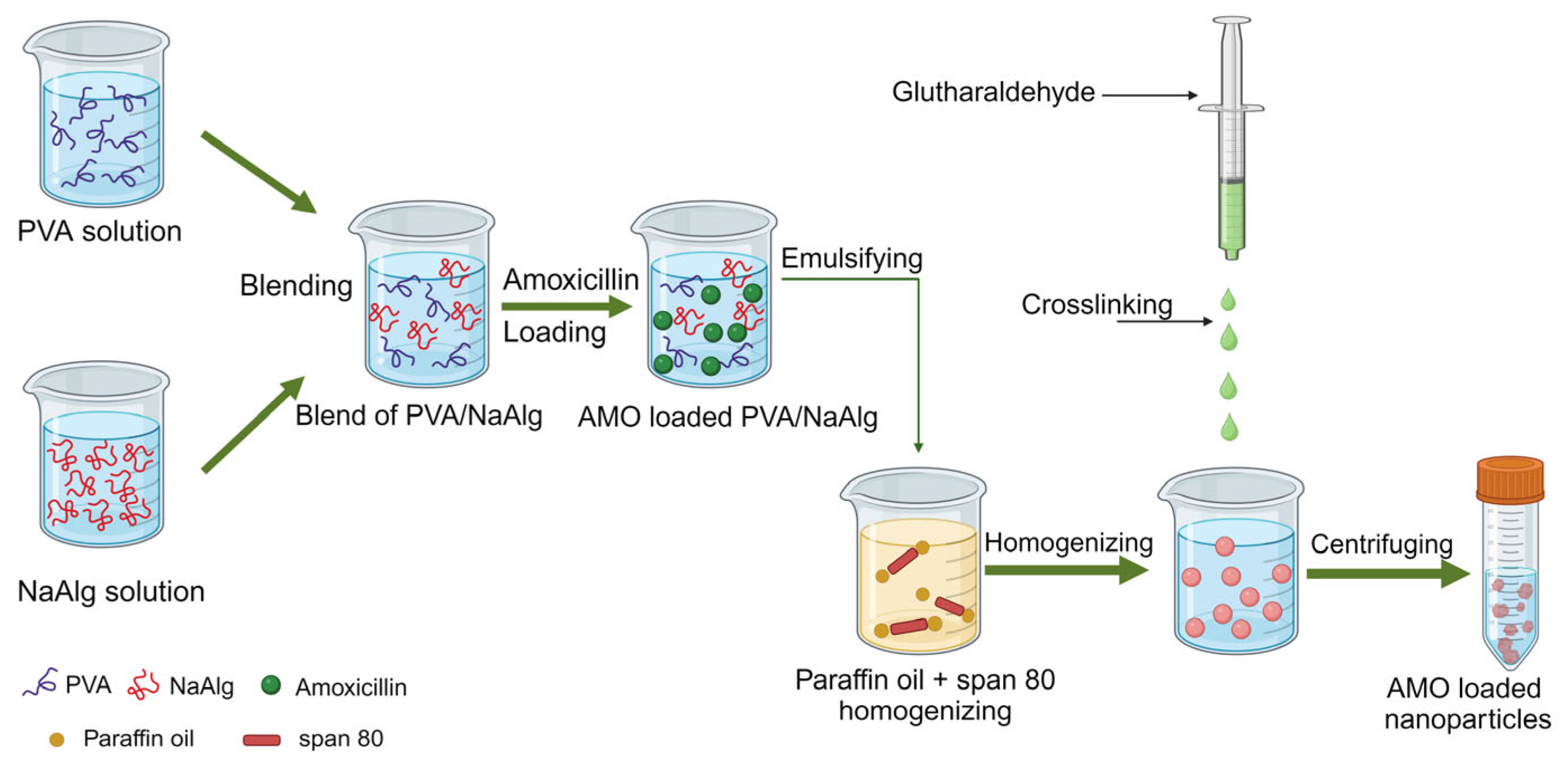 Nanomaterials 14 00341 g006