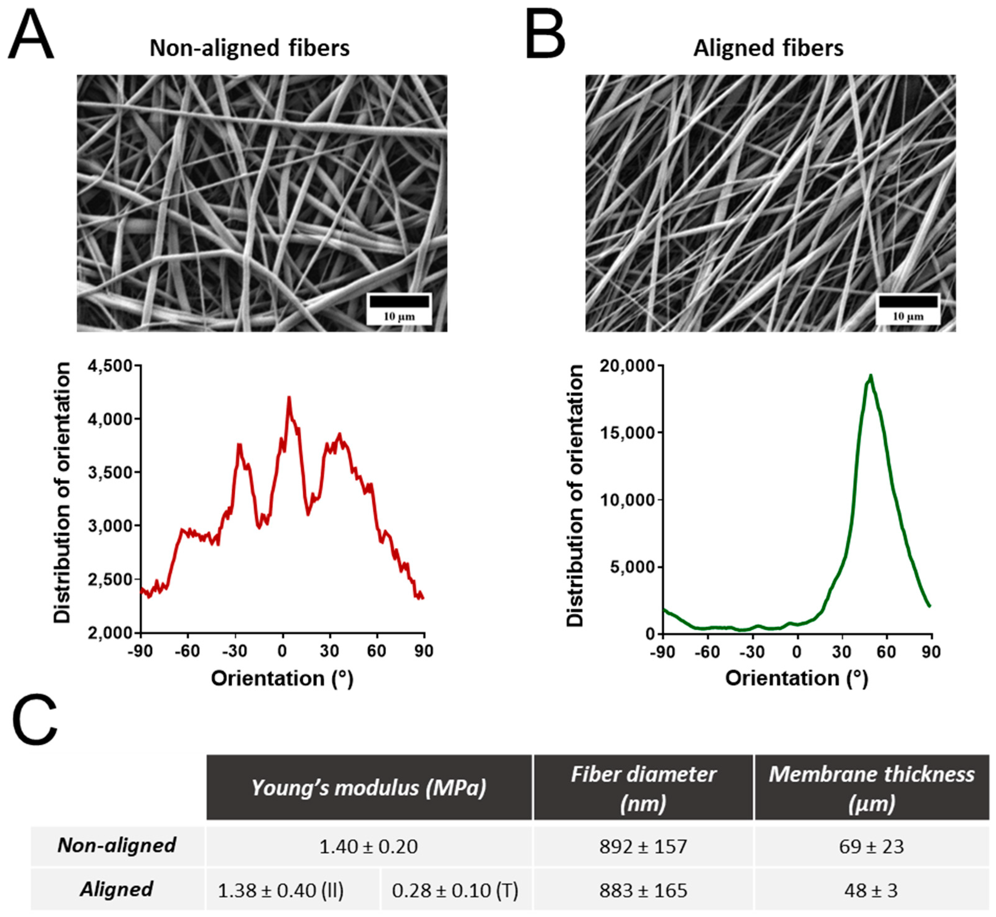 Nanomaterials 14 00342 g001 Nanomaterials 14 00342 g001