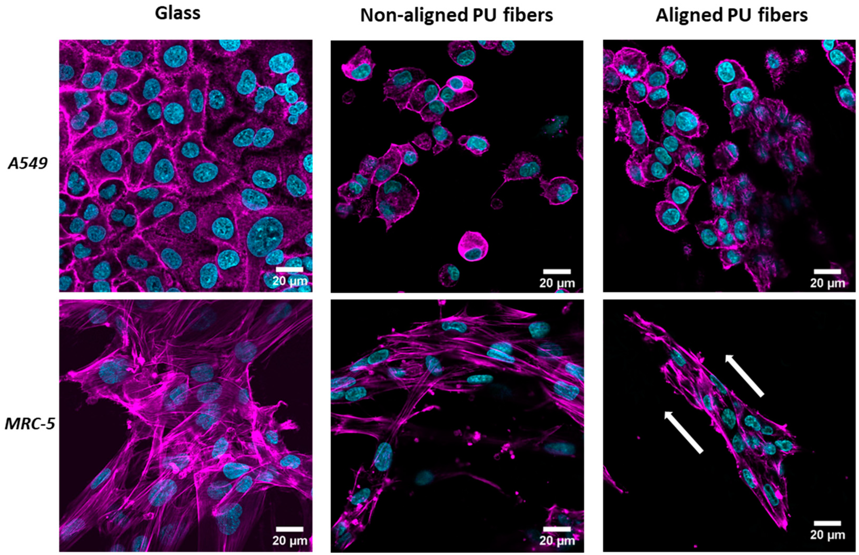Nanomaterials 14 00342 g002 Nanomaterials 14 00342 g002