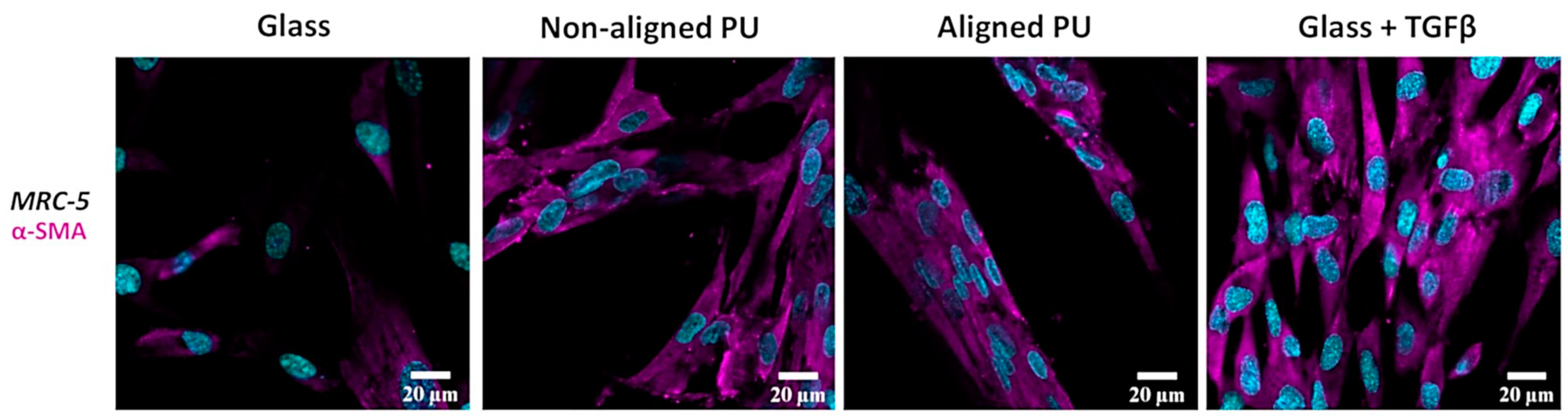 Nanomaterials 14 00342 g006 Nanomaterials 14 00342 g006