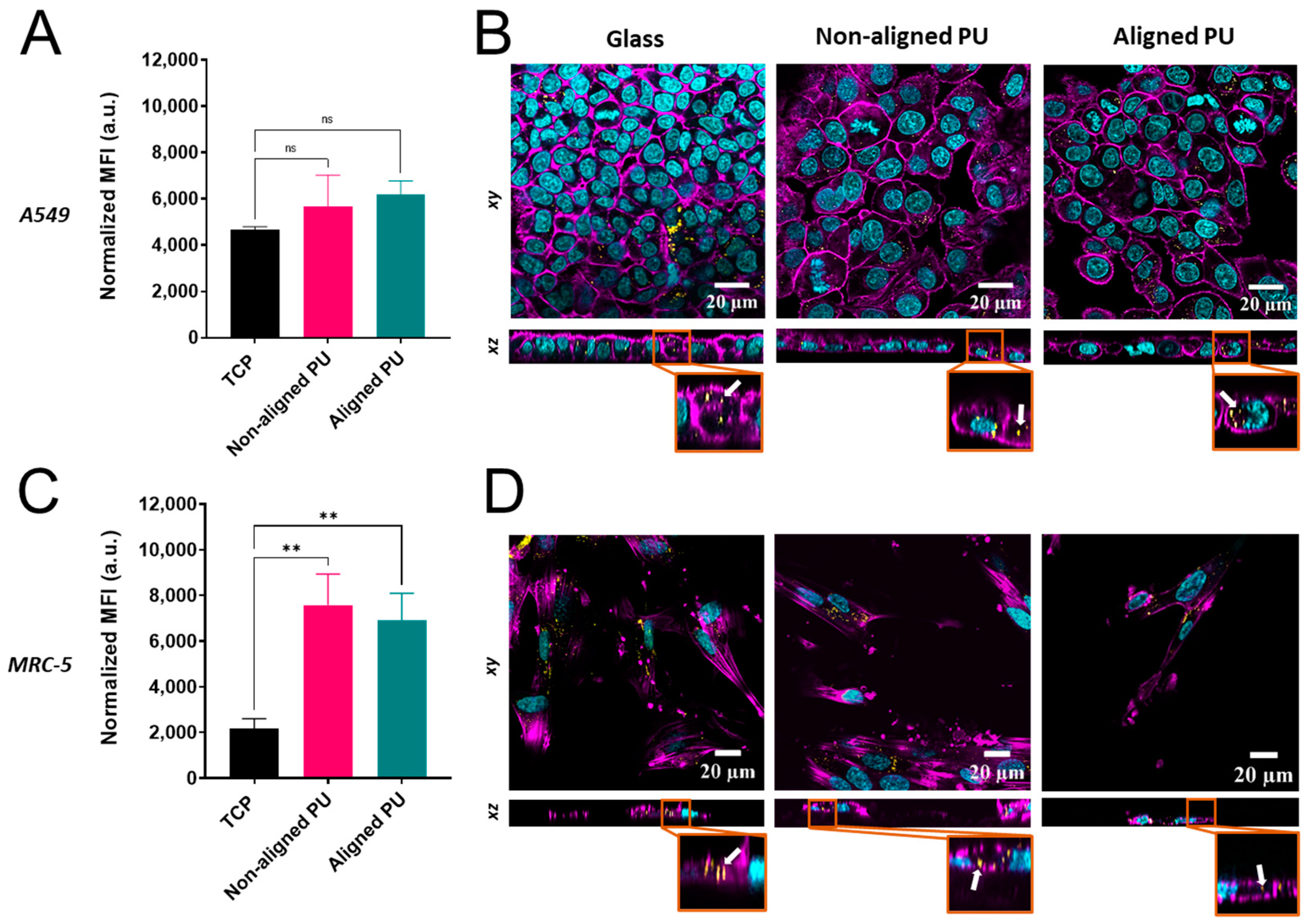Nanomaterials 14 00342 g007 Nanomaterials 14 00342 g007