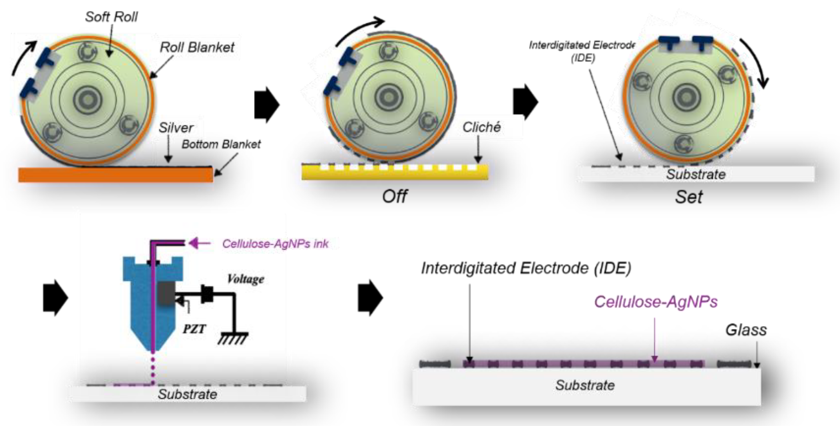 Nanomaterials 14 00343 g002