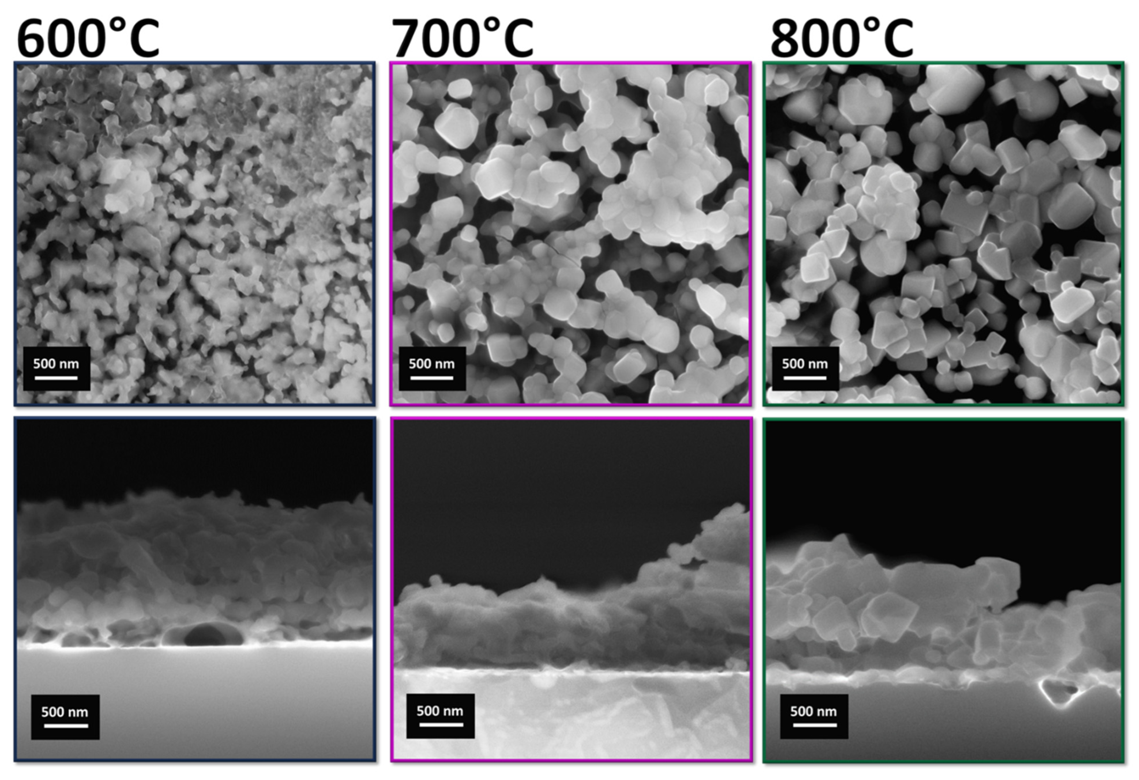 Nanomaterials 14 00345 g007