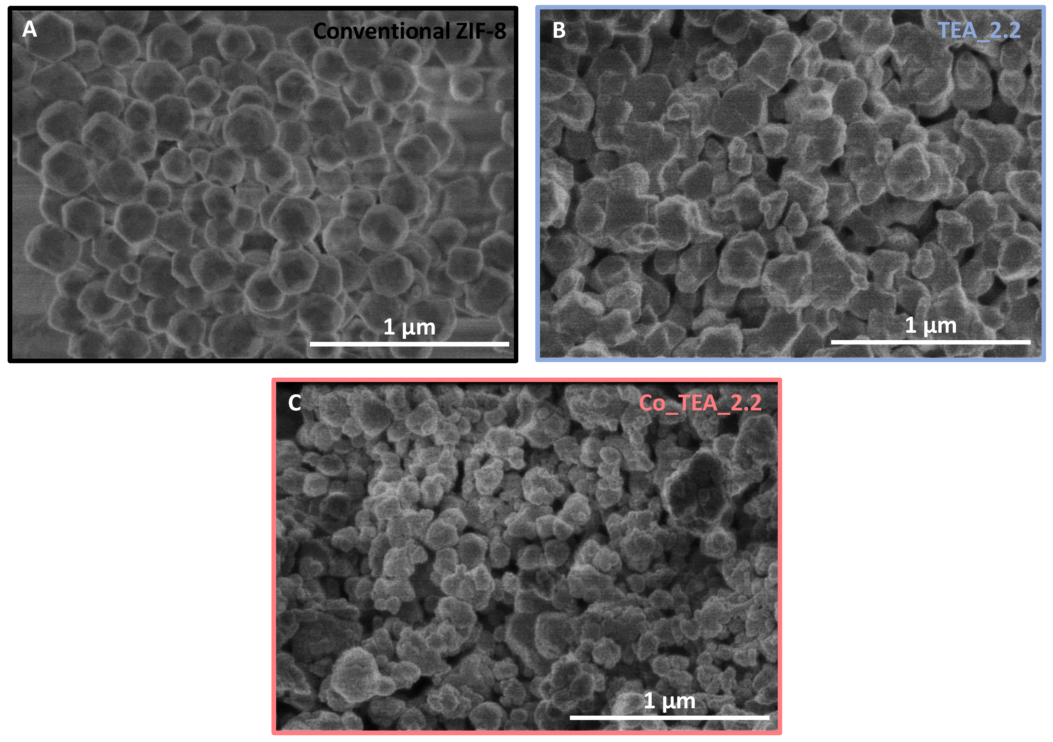 Nanomaterials 14 00348 g0a2