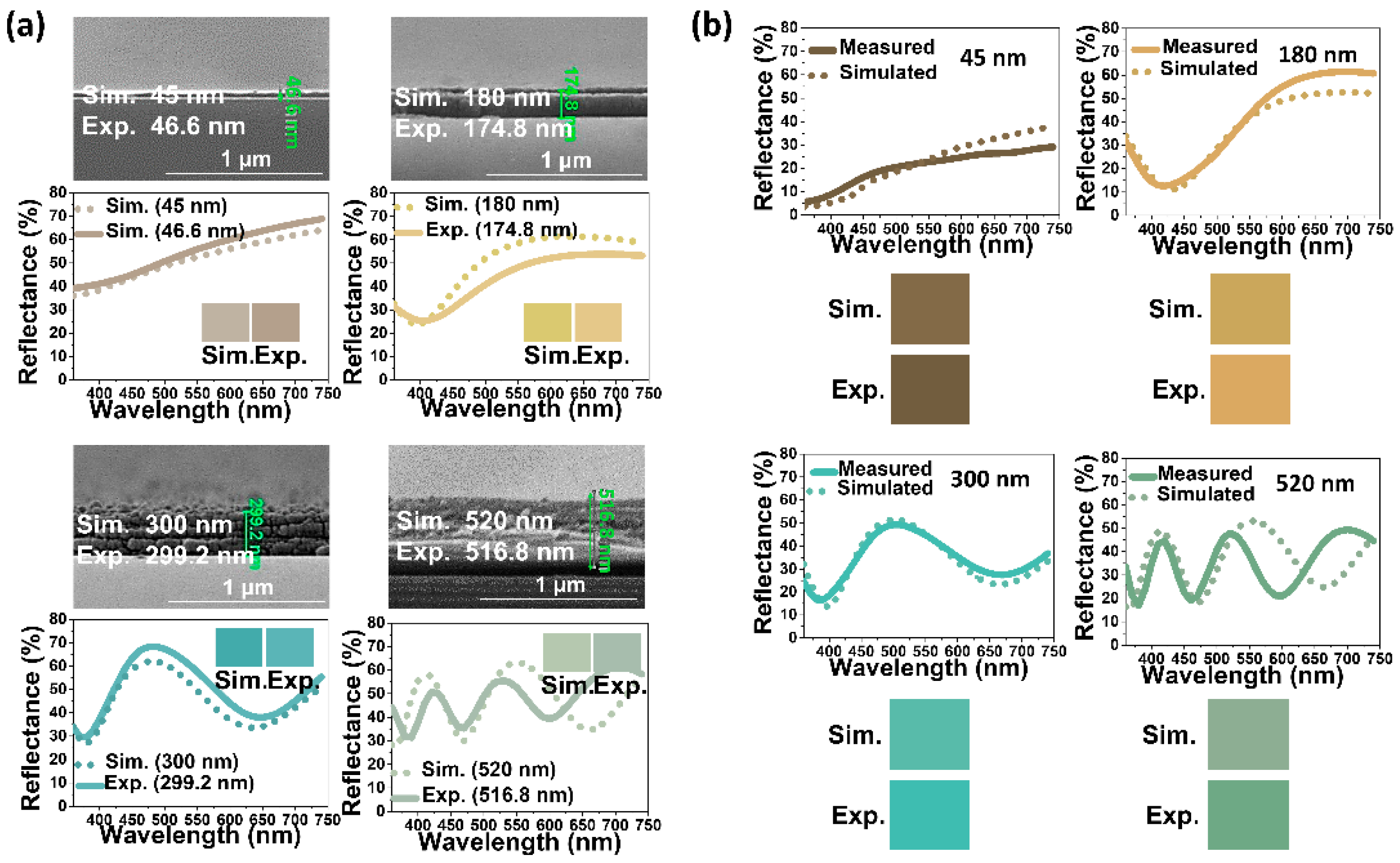 Nanomaterials 14 00351 g003