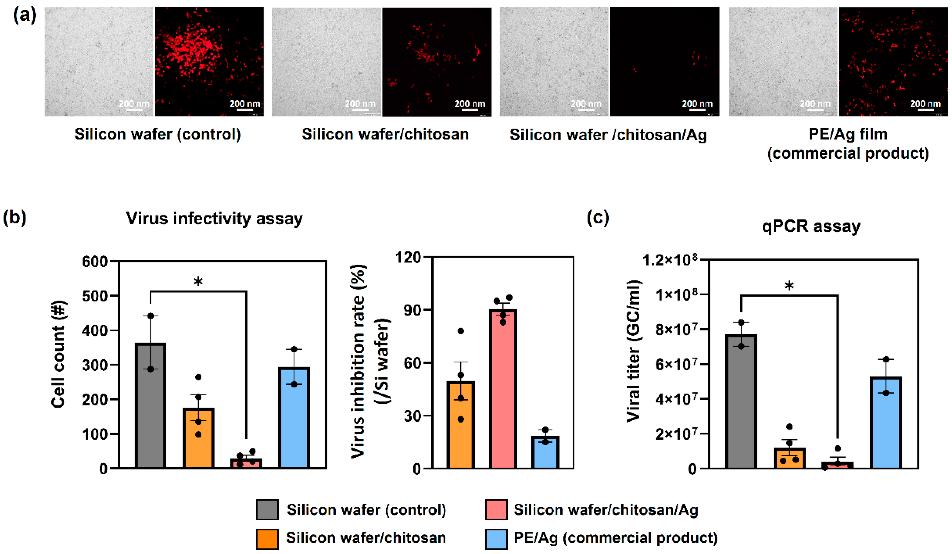 Nanomaterials 14 00351 g005