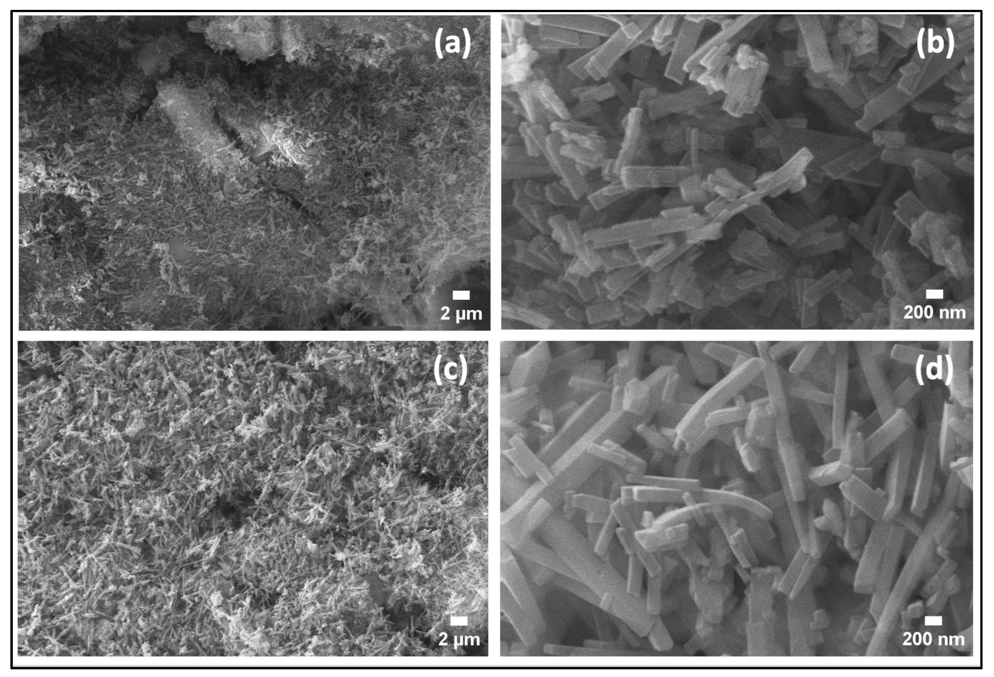Nanomaterials 14 00353 g004